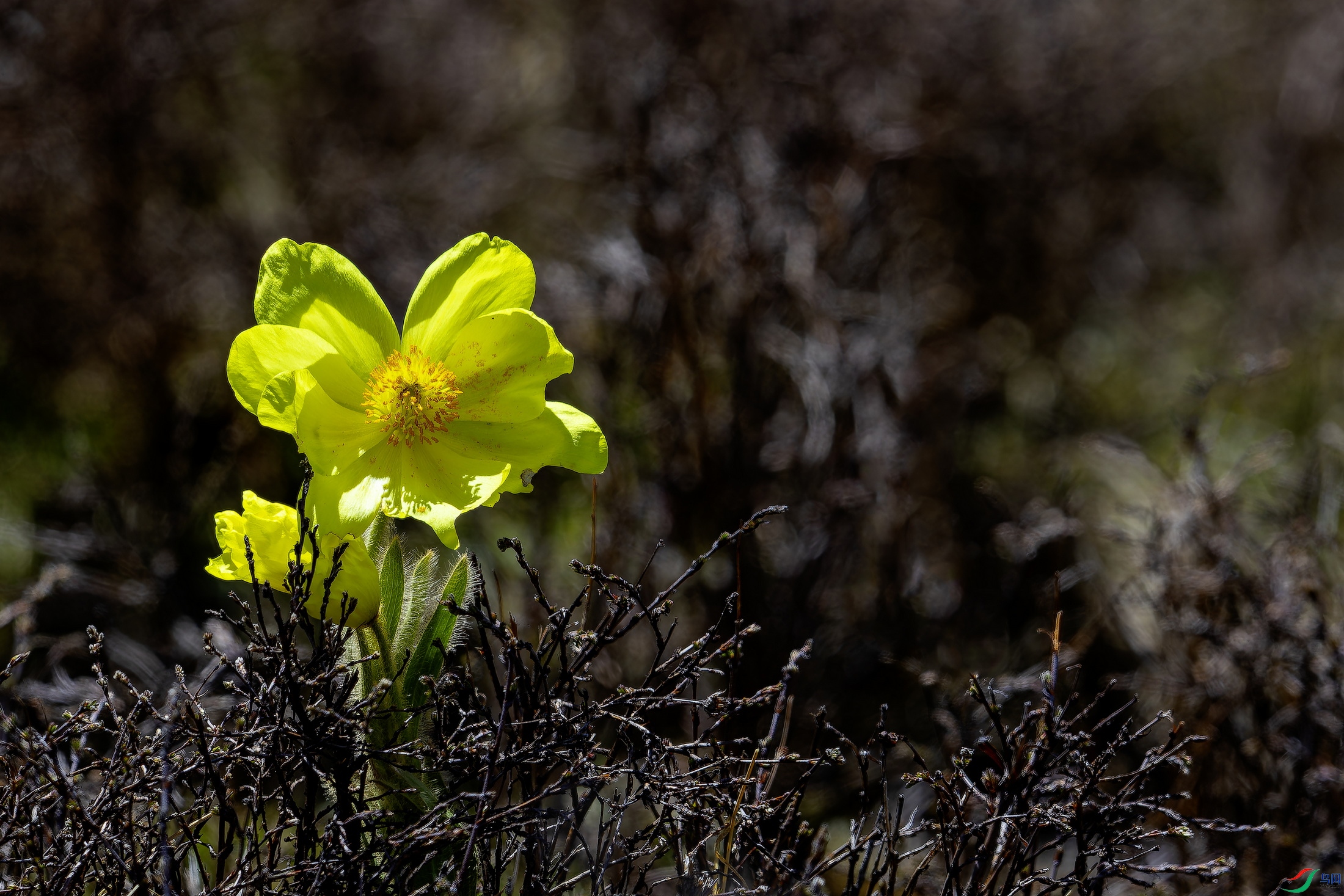 ������ (6)-2.jpg