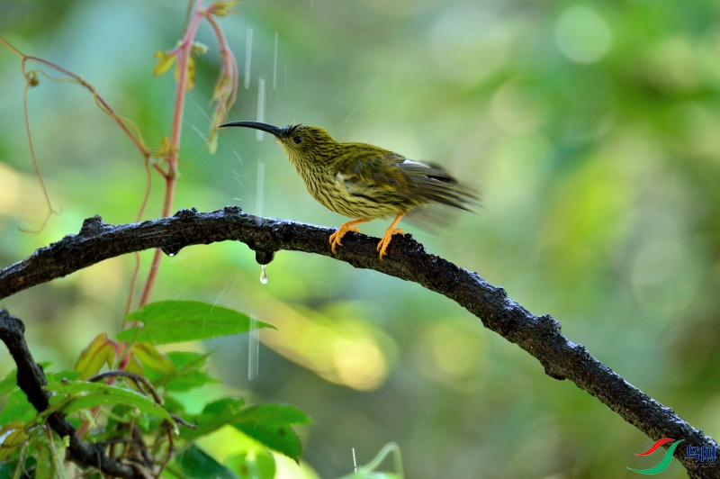 DSC_5031.JPG