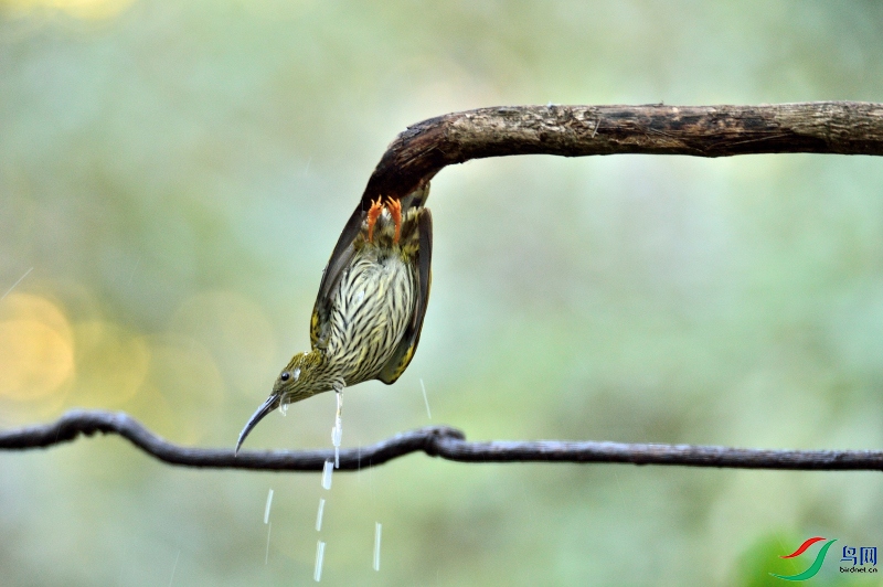 DSC_5969.JPG