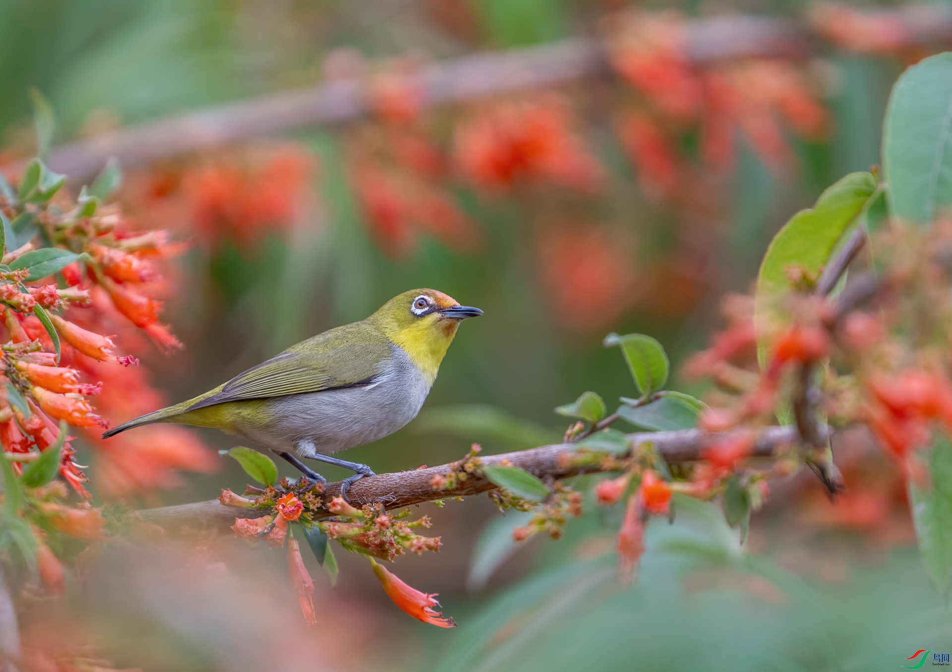 DSC_9256-1.jpg