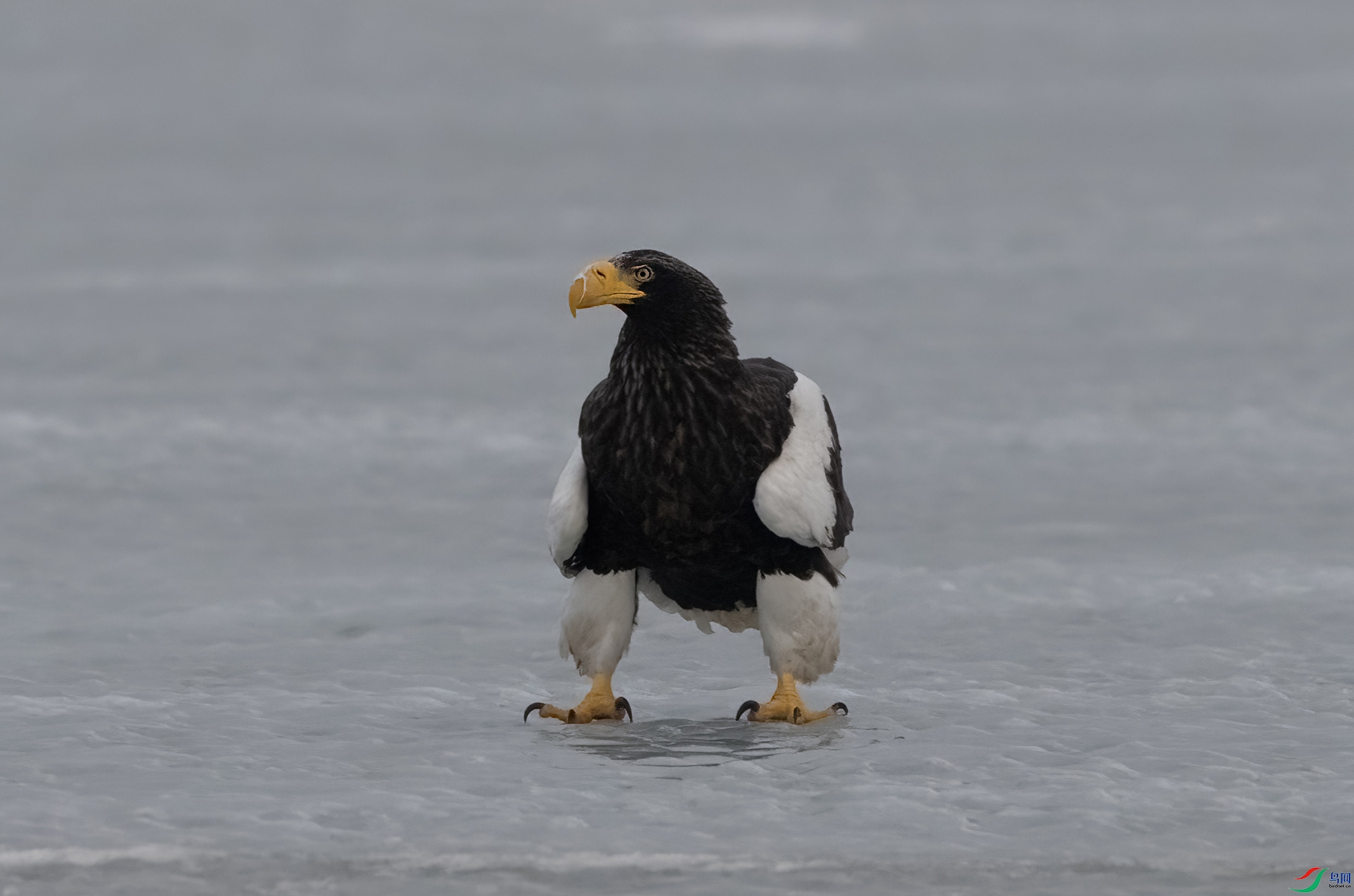 DSC05800 ���� 2.jpg