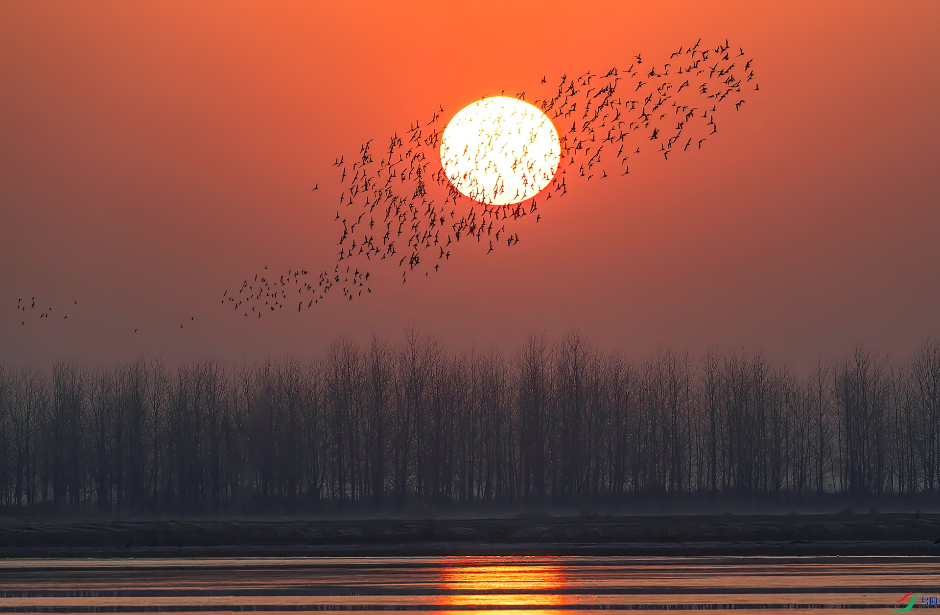 _60A8627 ����-Sha---1 .jpg