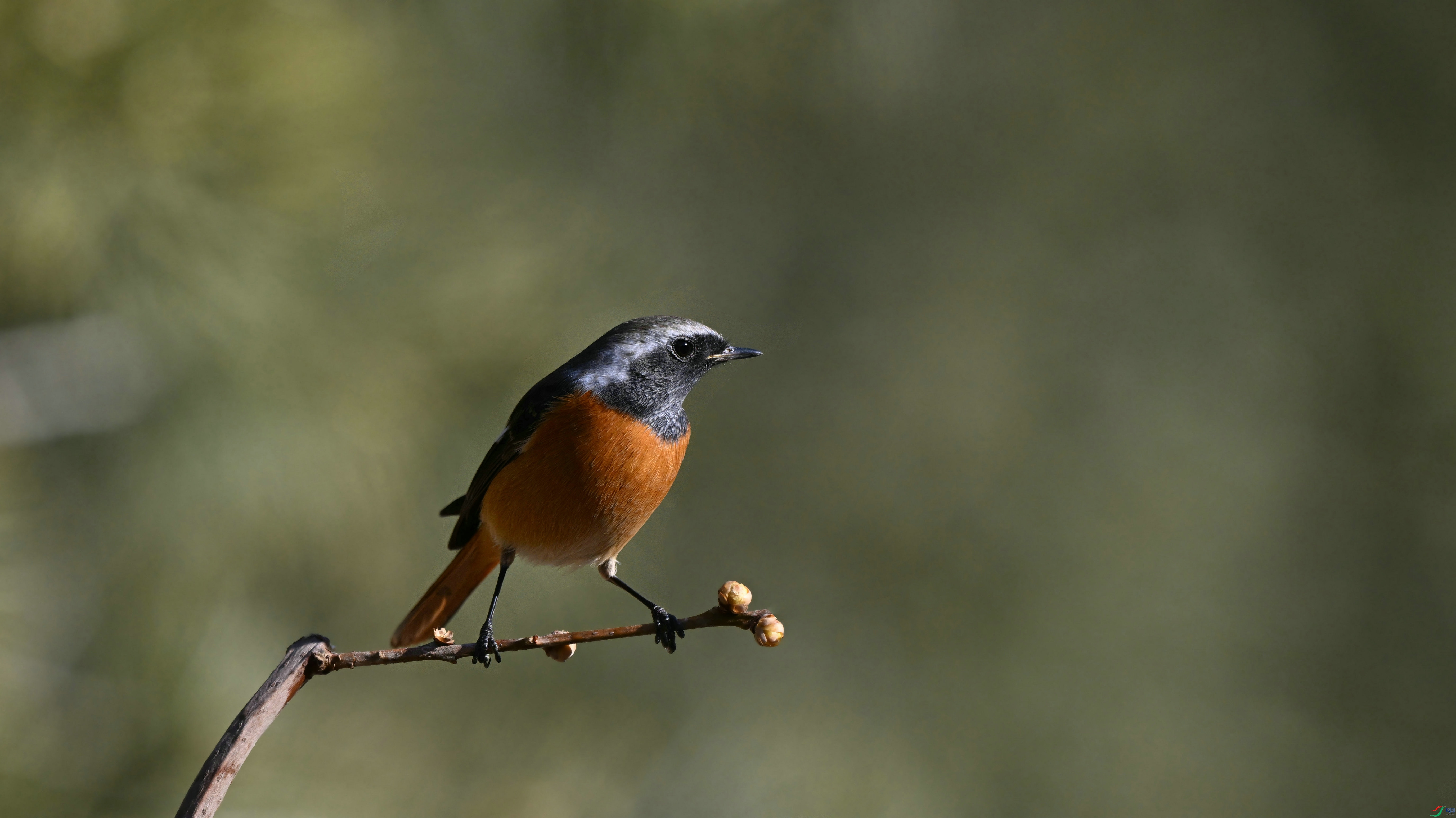 DSC_6439.JPG