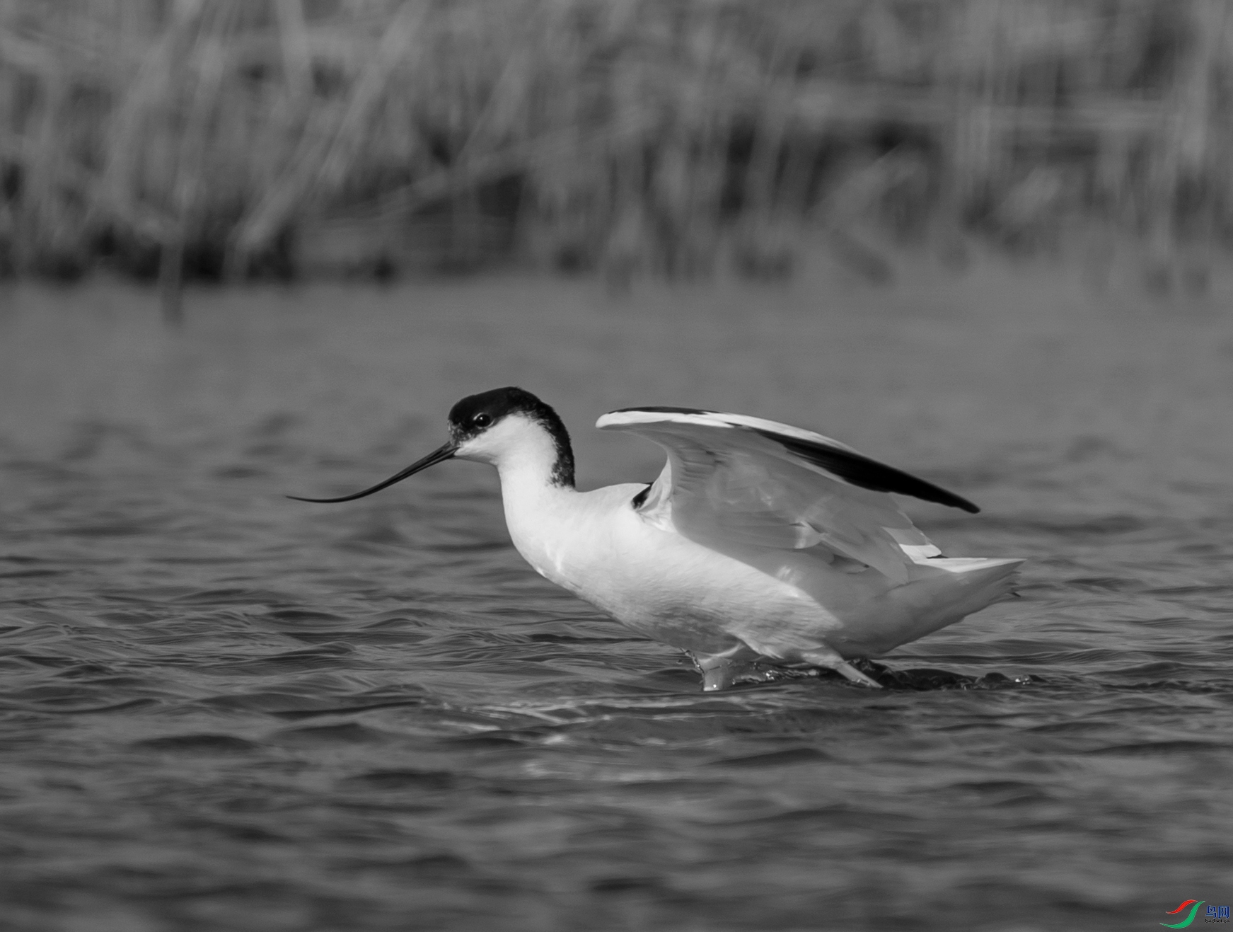 DSC00328 ����_����.jpg