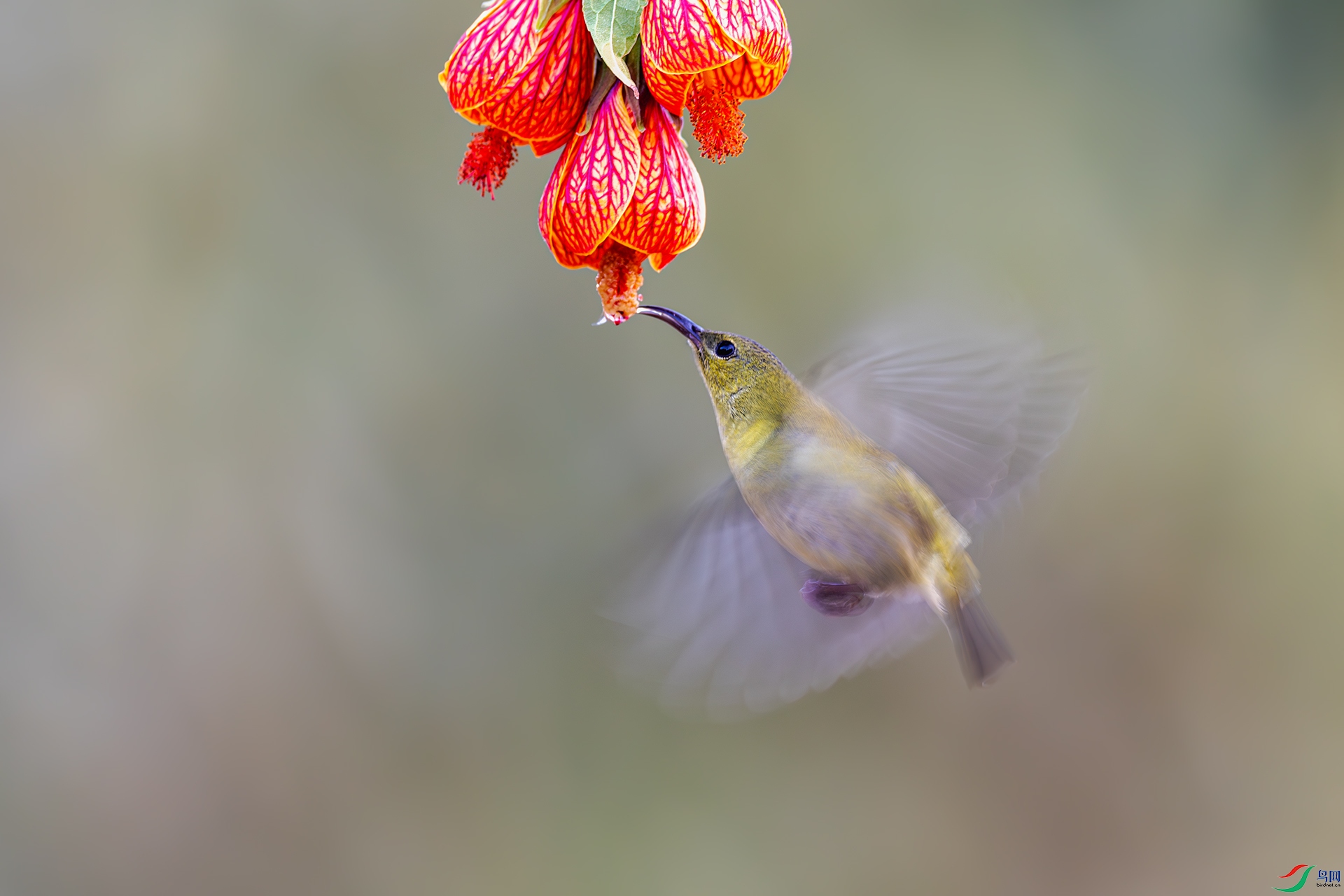 20250309���� .jpg