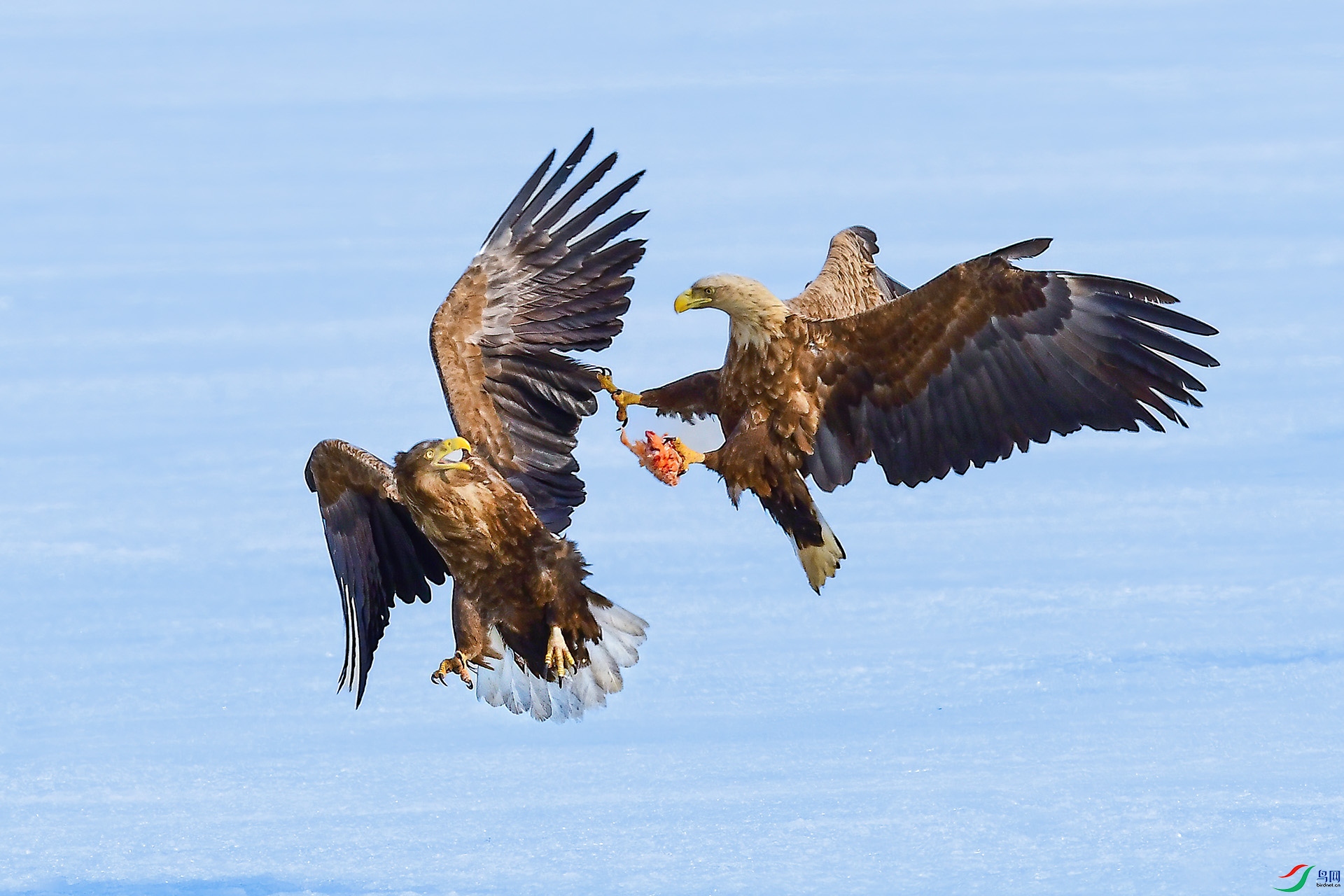 DSC_3926-1.jpg