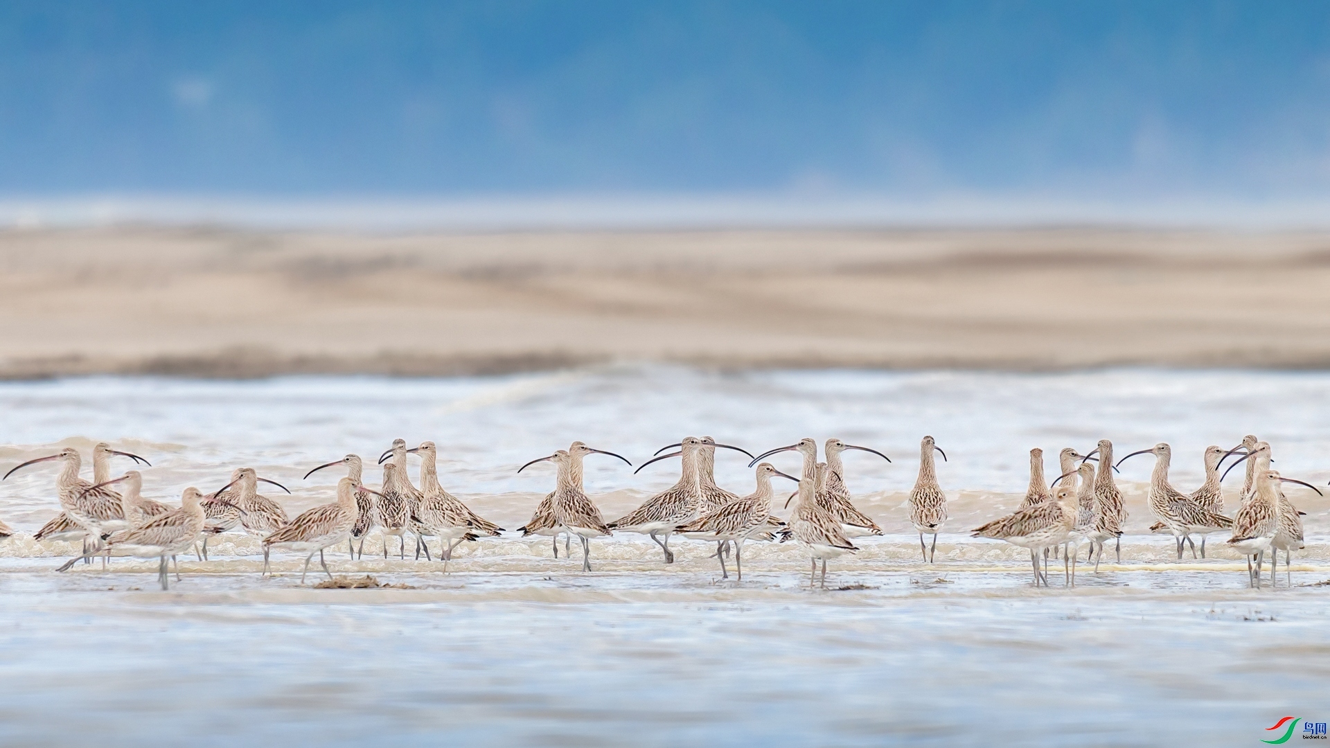 3.5Դ����Ȼ��ʦ��Ʒ  ��������������ף���ٻ����������.jpg