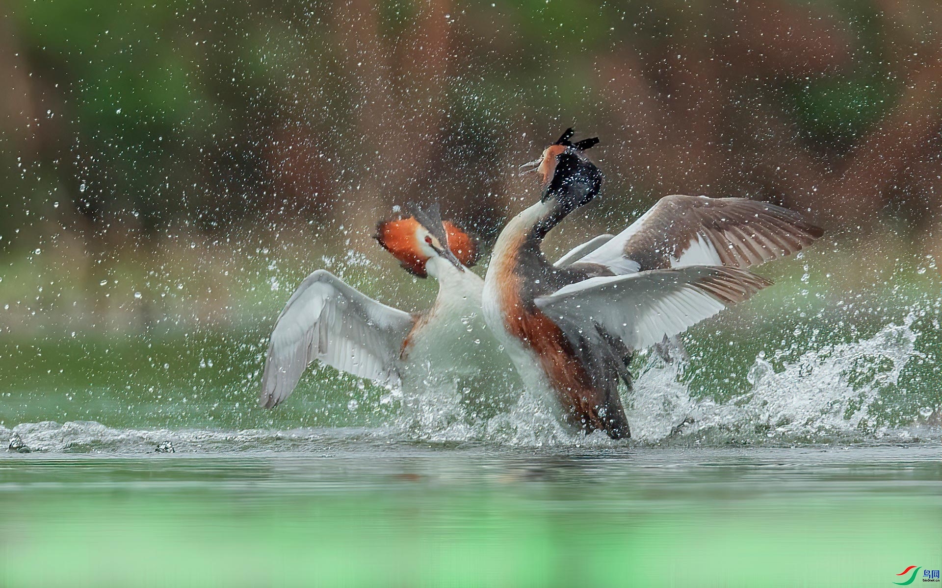 3.7��������ʦ��Ʒ   ��ر���ս ��ף���ٻ����Ѿ�����.jpg