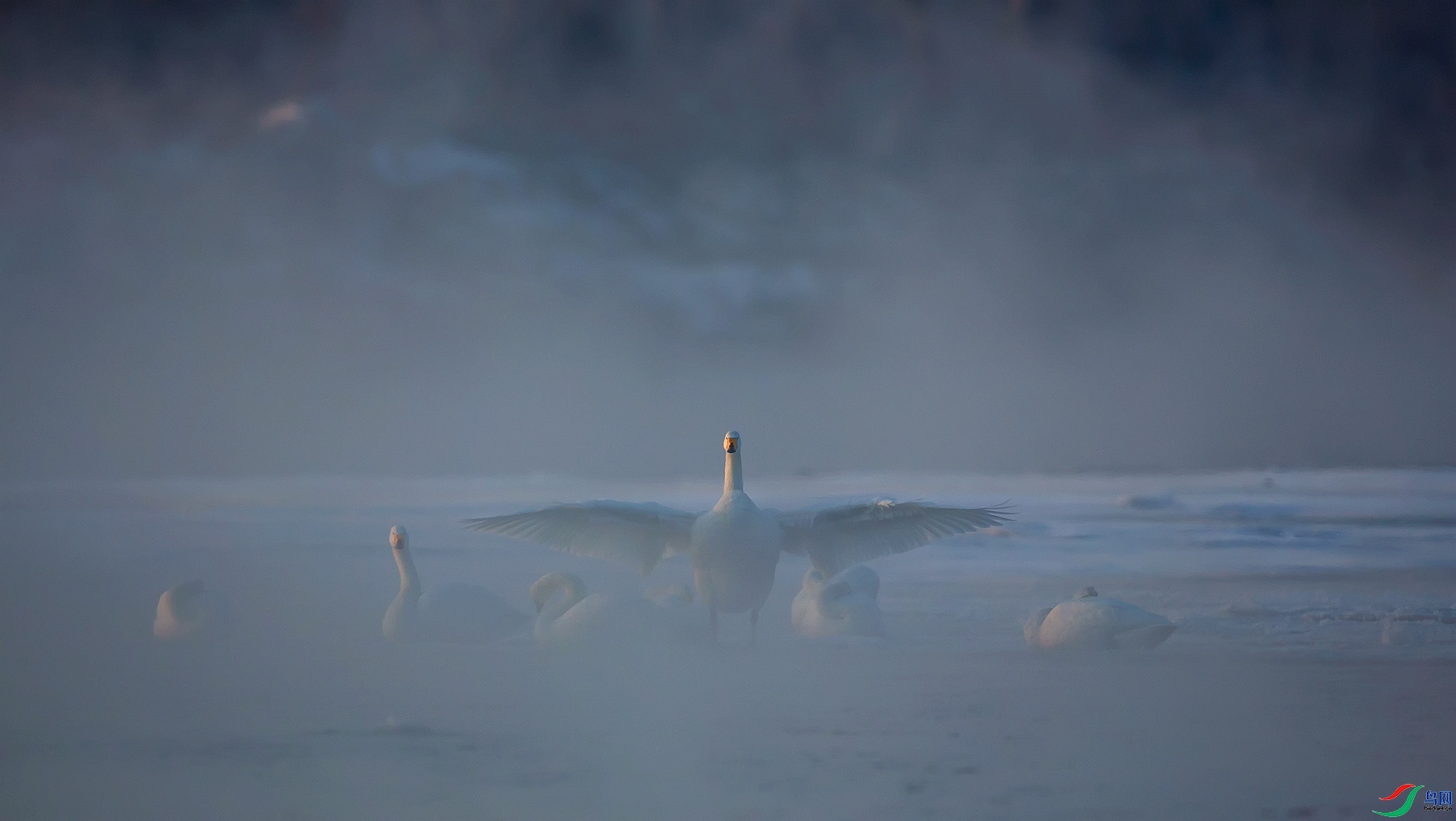 3.7һ�����567��ʦ��Ʒ   ��������չ���� ��ף���ٻ��Ա������.jpg