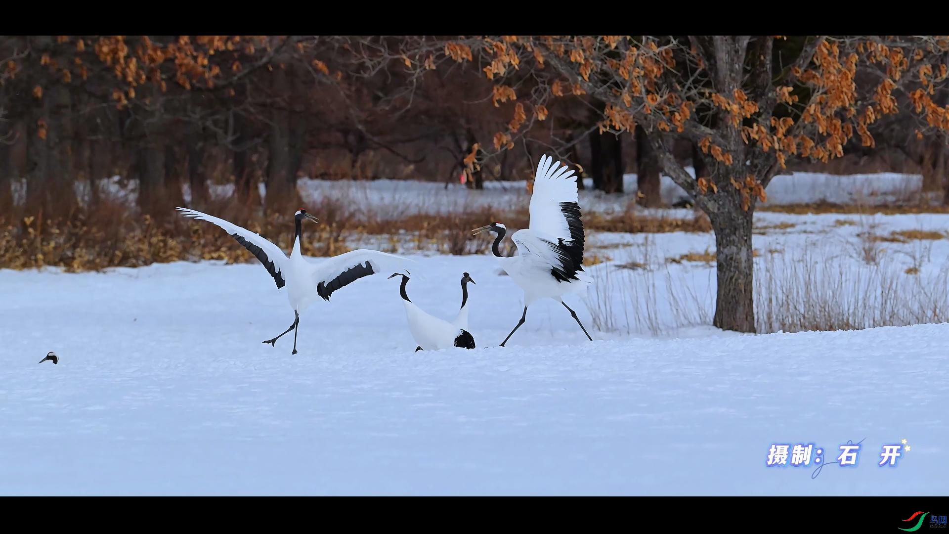 3��1�� (1)(1)-����.jpg