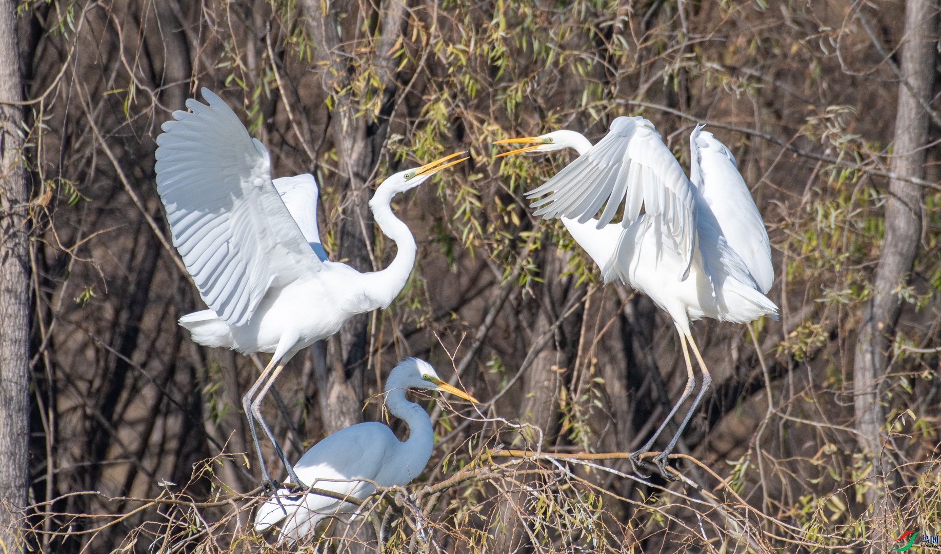 DSC_1409.jpg