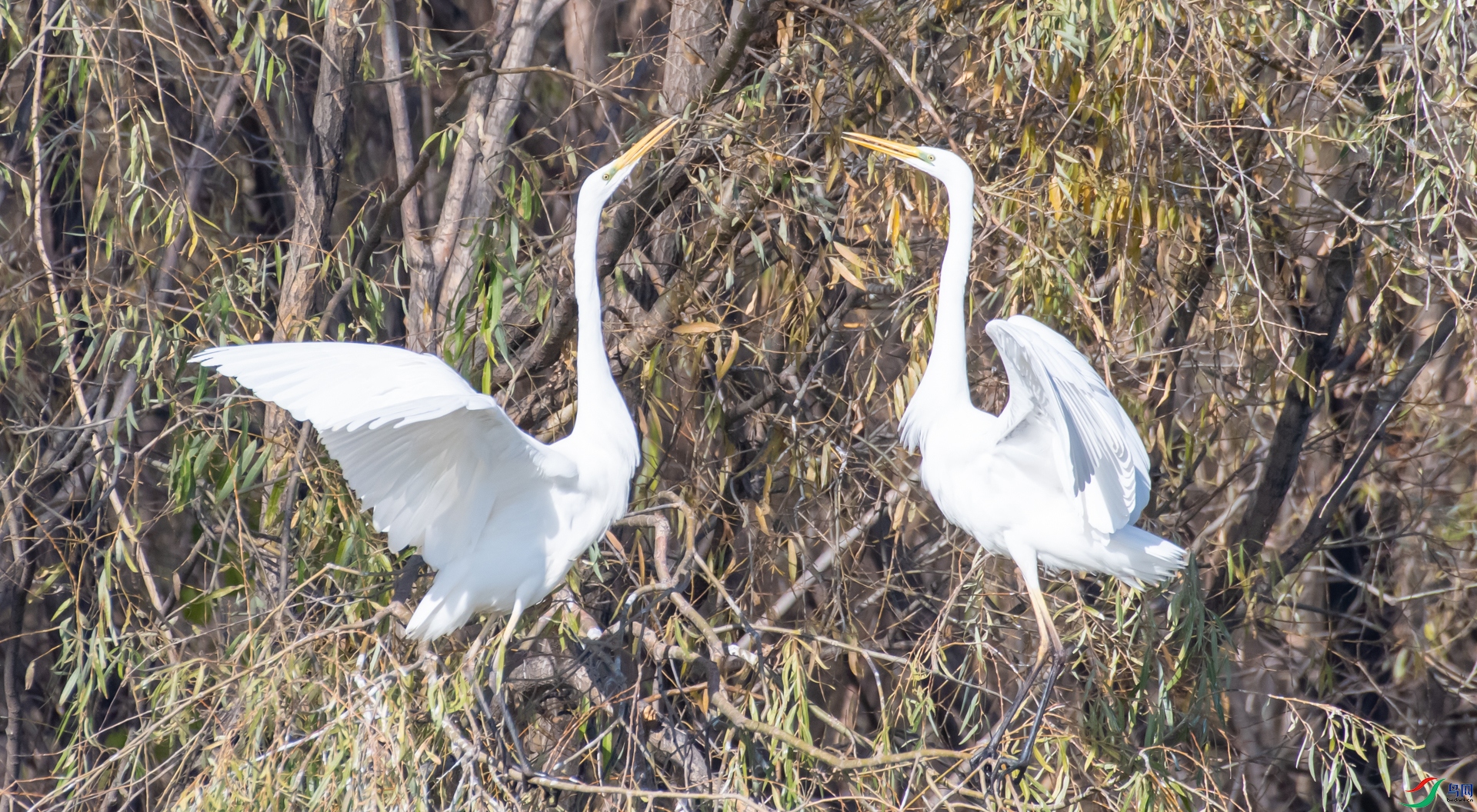 DSC_1679.jpg