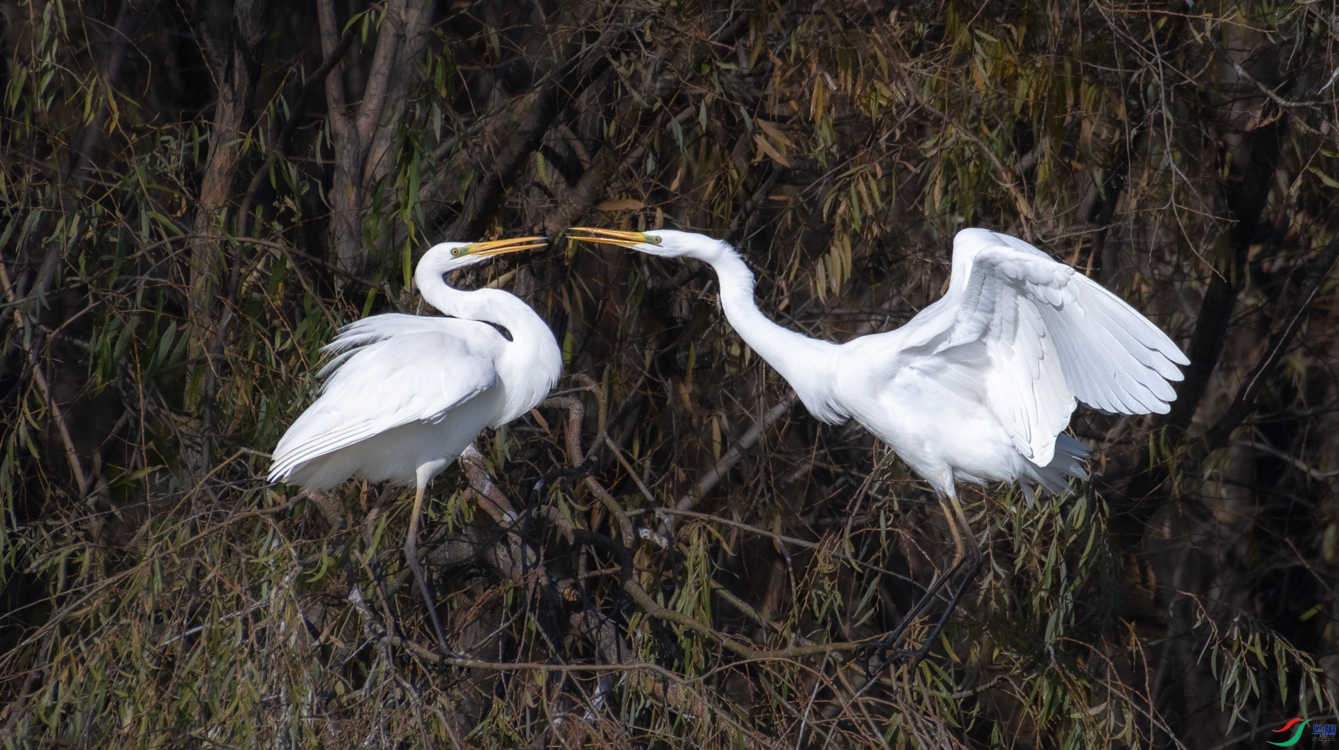DSC_1751.jpg