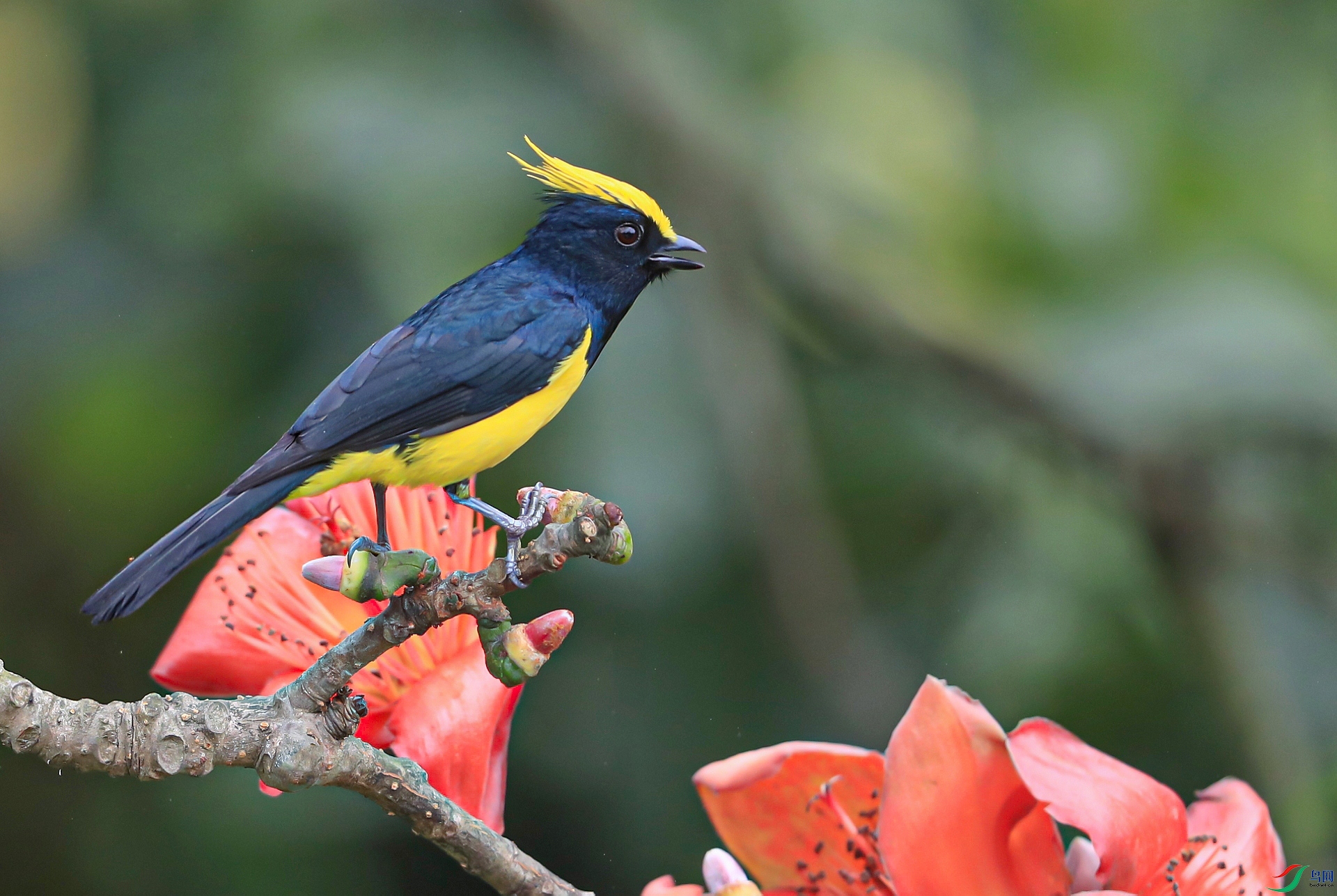 ����AI0I4219�ٻ������� Ī���ô��⡪������.jpg