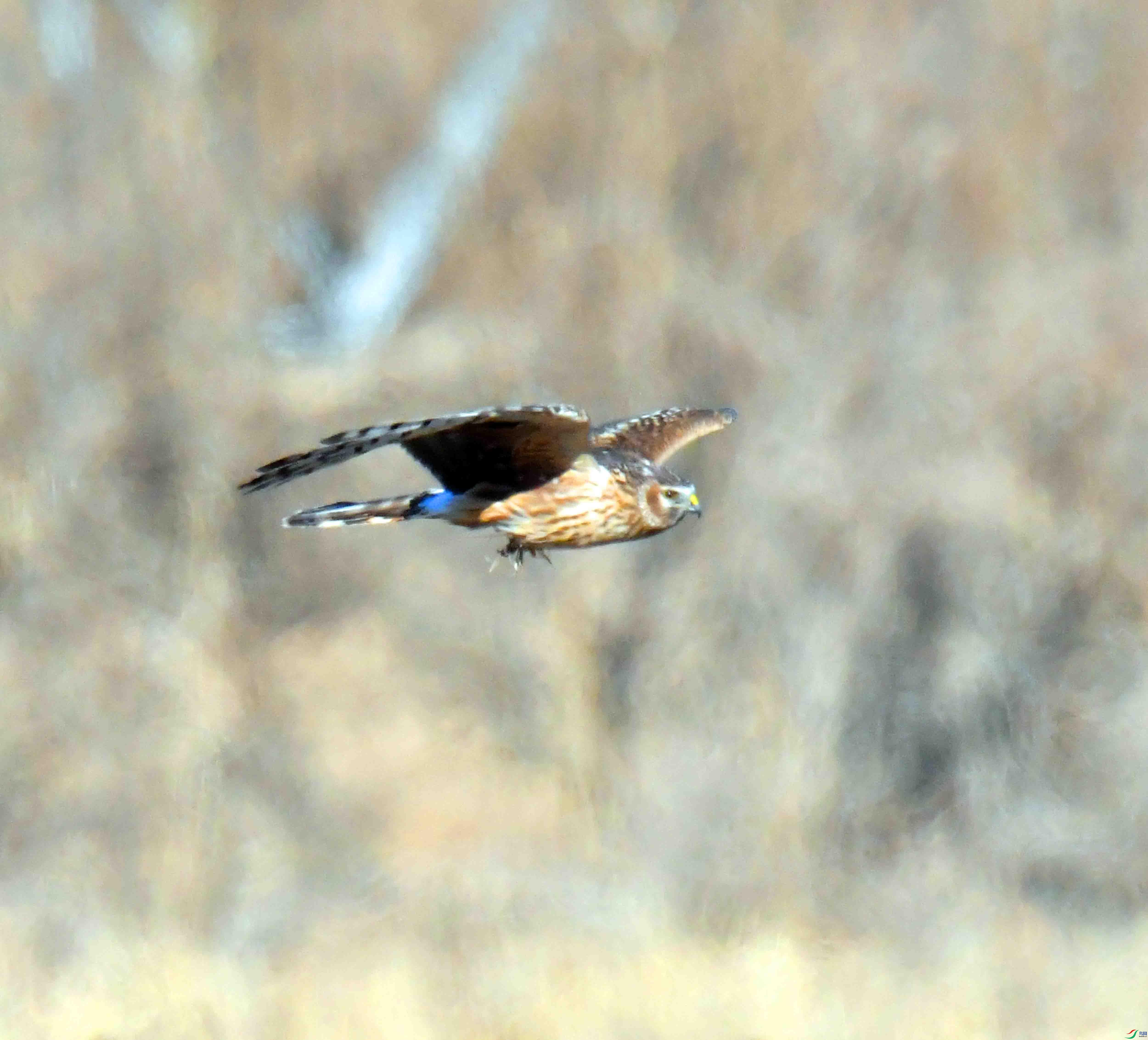 DSC_4366.JPG