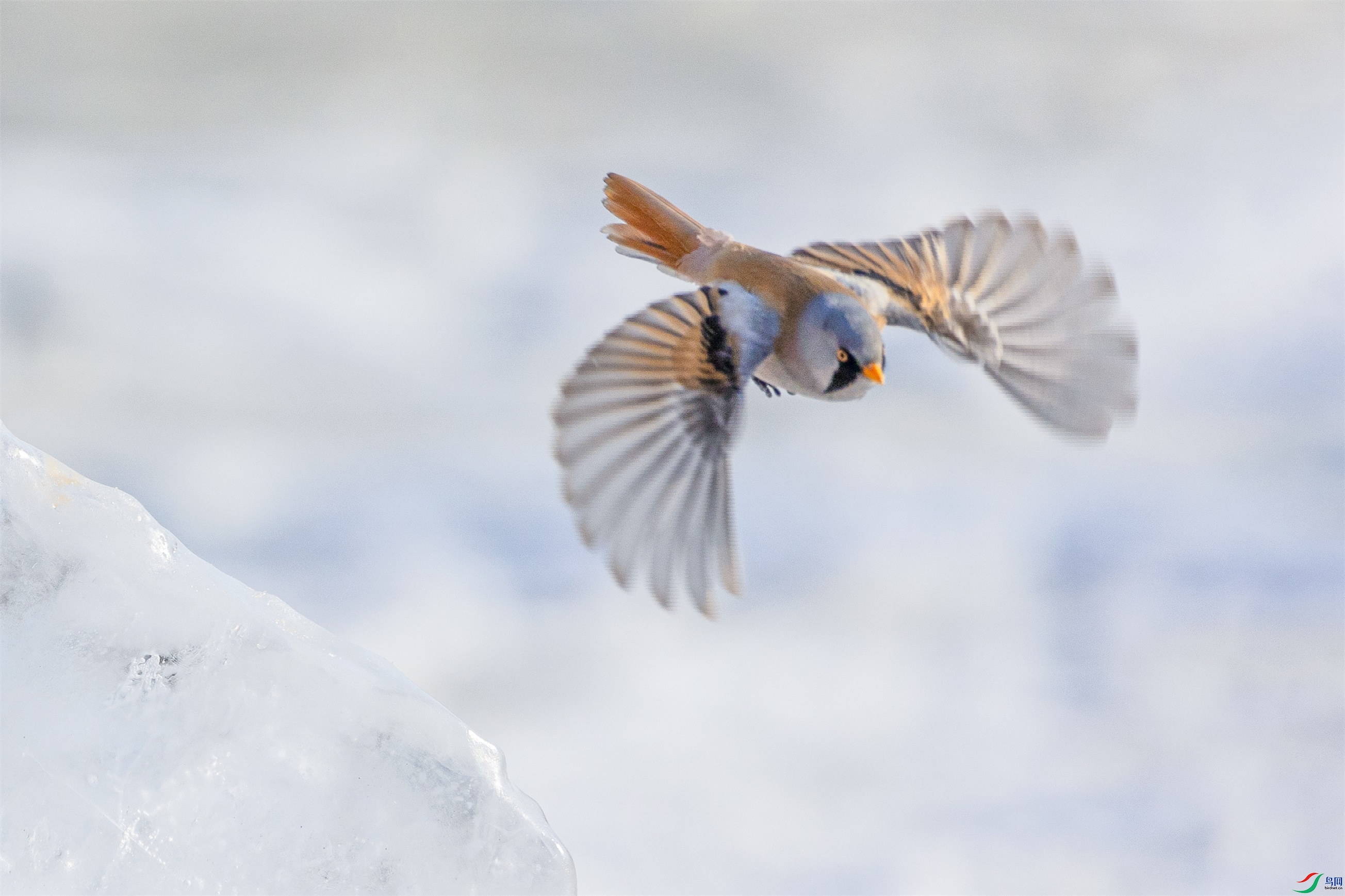 1K3A9684 ����1.jpg