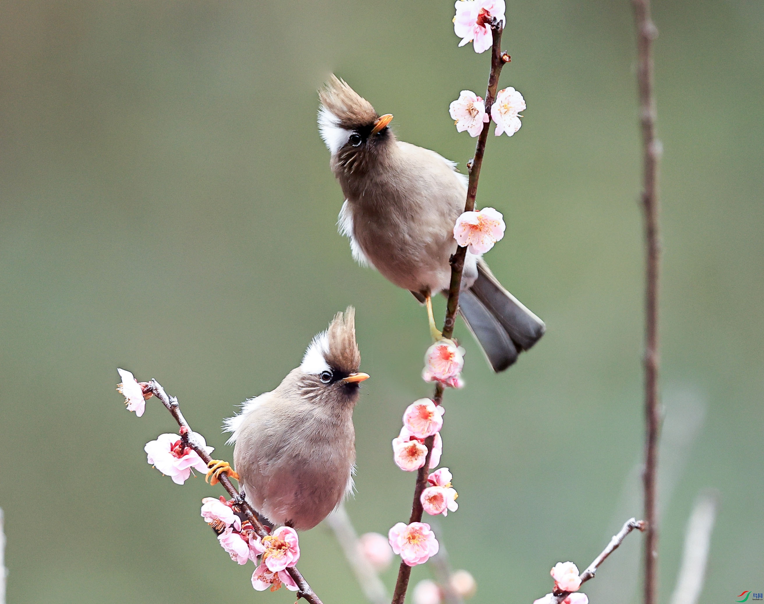 192A8566 ����.jpg