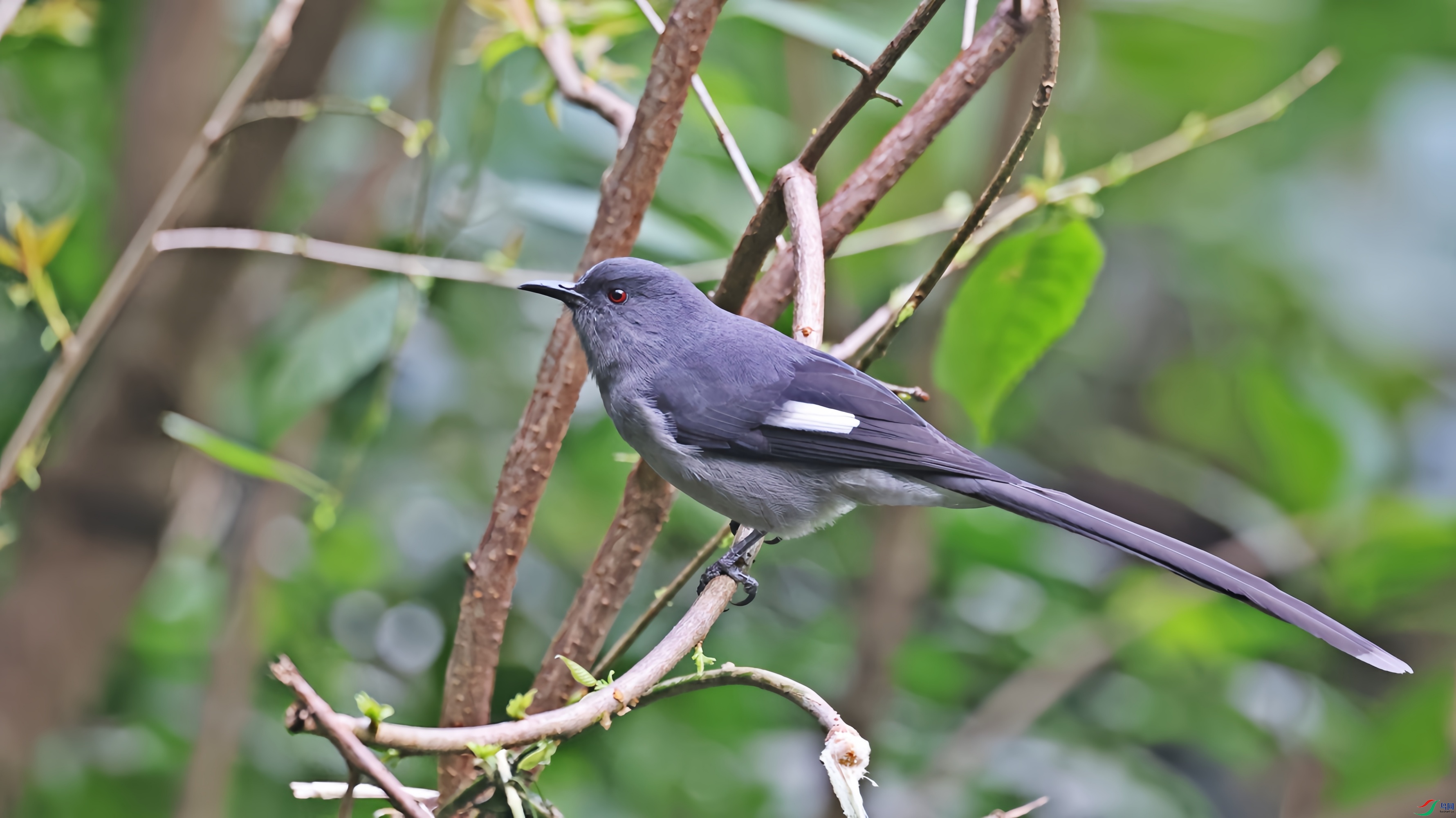 2F6A2870_����_����.jpg