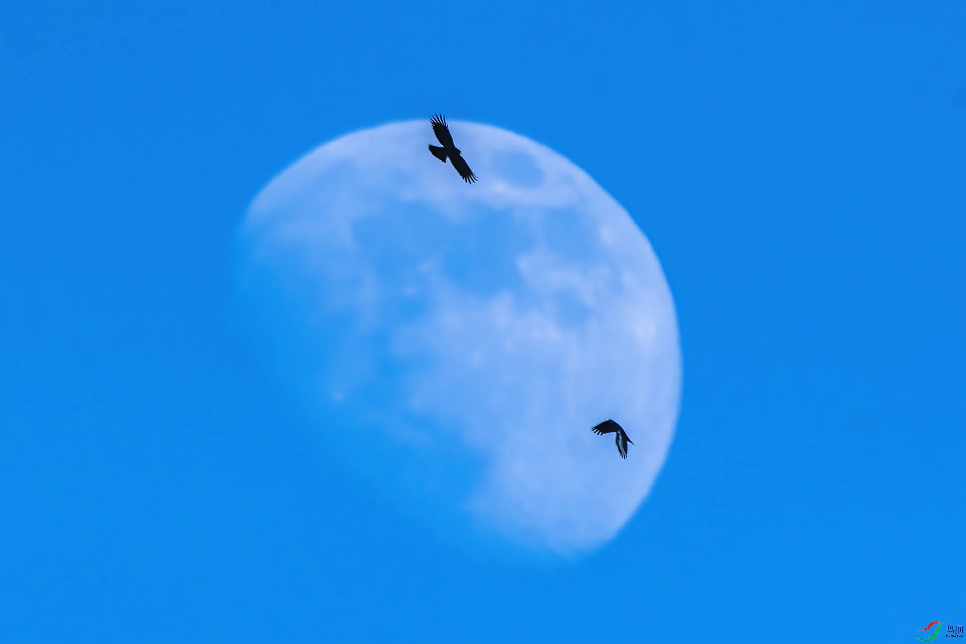 DSC_9456-.jpg