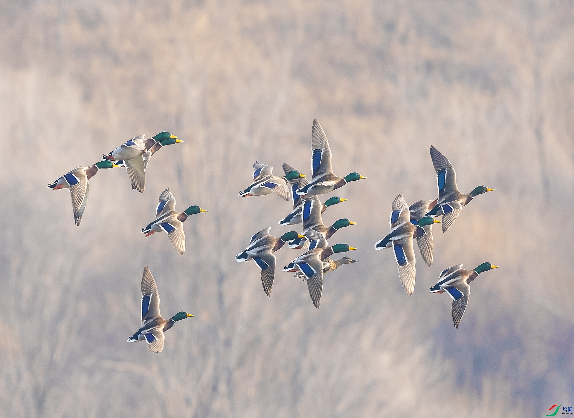 019A5751 ����.jpg