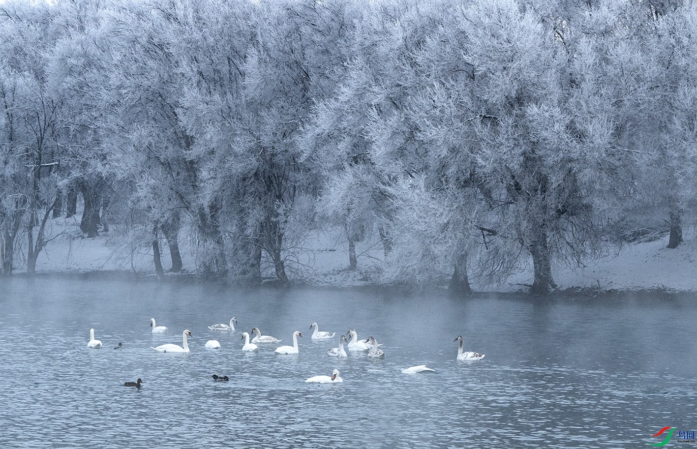 DSC_7567 ����.jpg