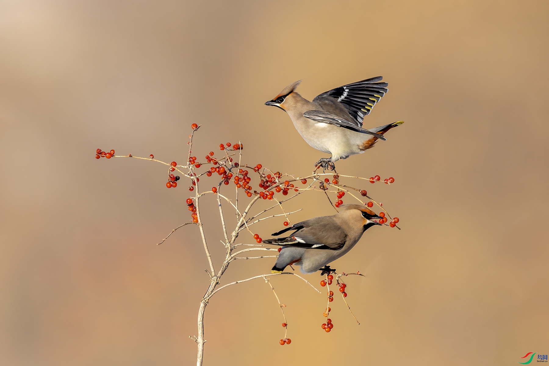 488A2143 ����.jpg