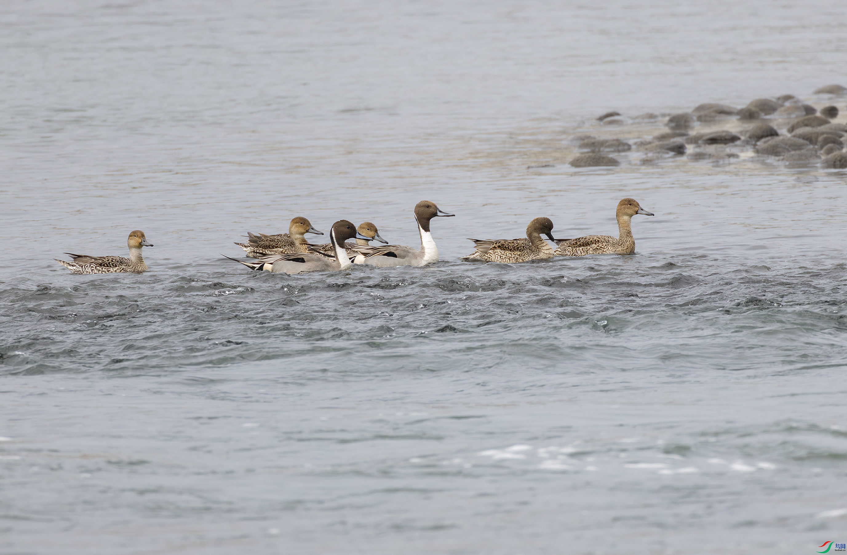 2I1A0968-����ǿ-NR ����.jpg