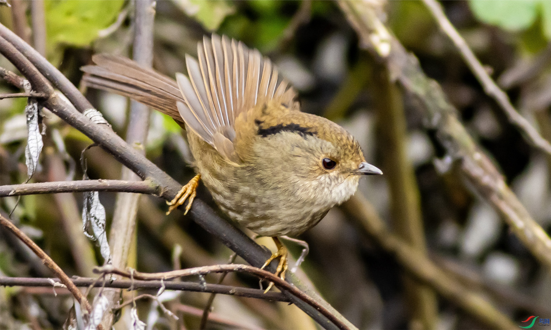 �ֶ�ȸ��94 ����.jpg