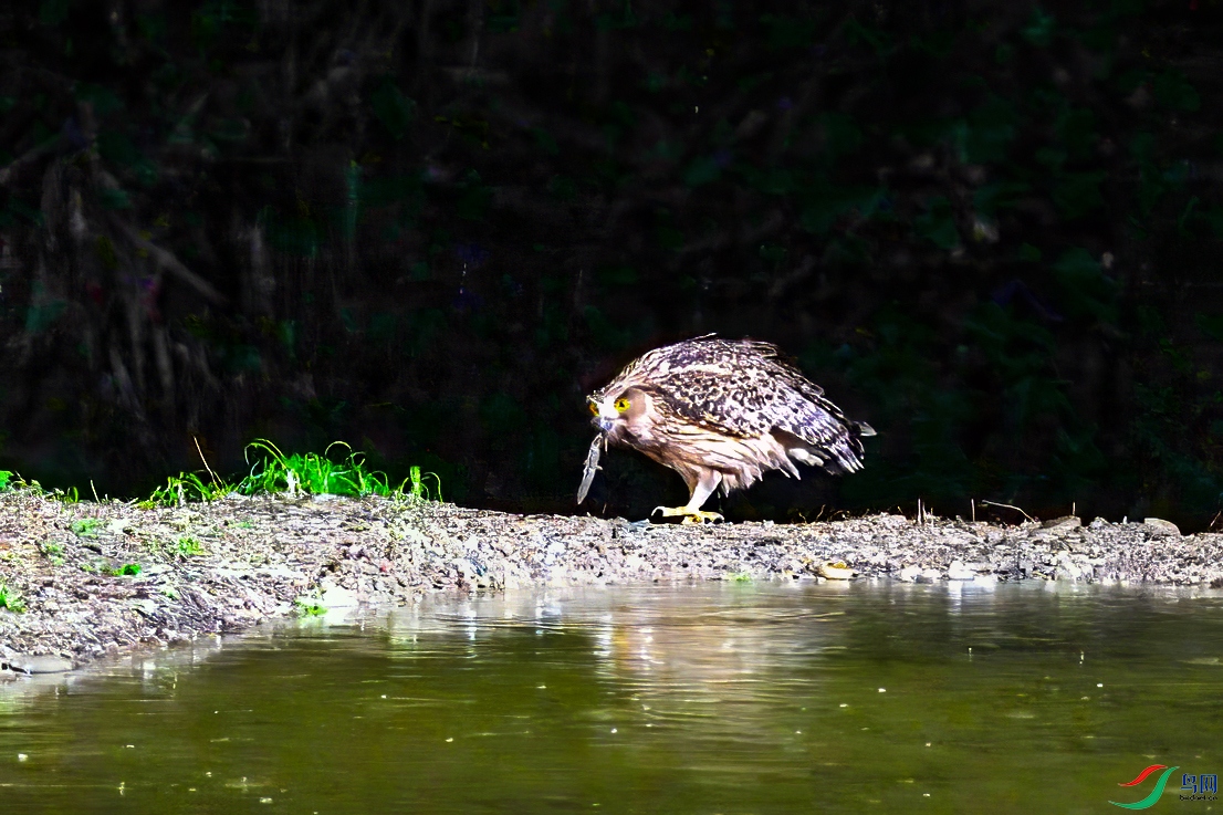 ΢��ͼƬ_20250309155827 ����.jpg