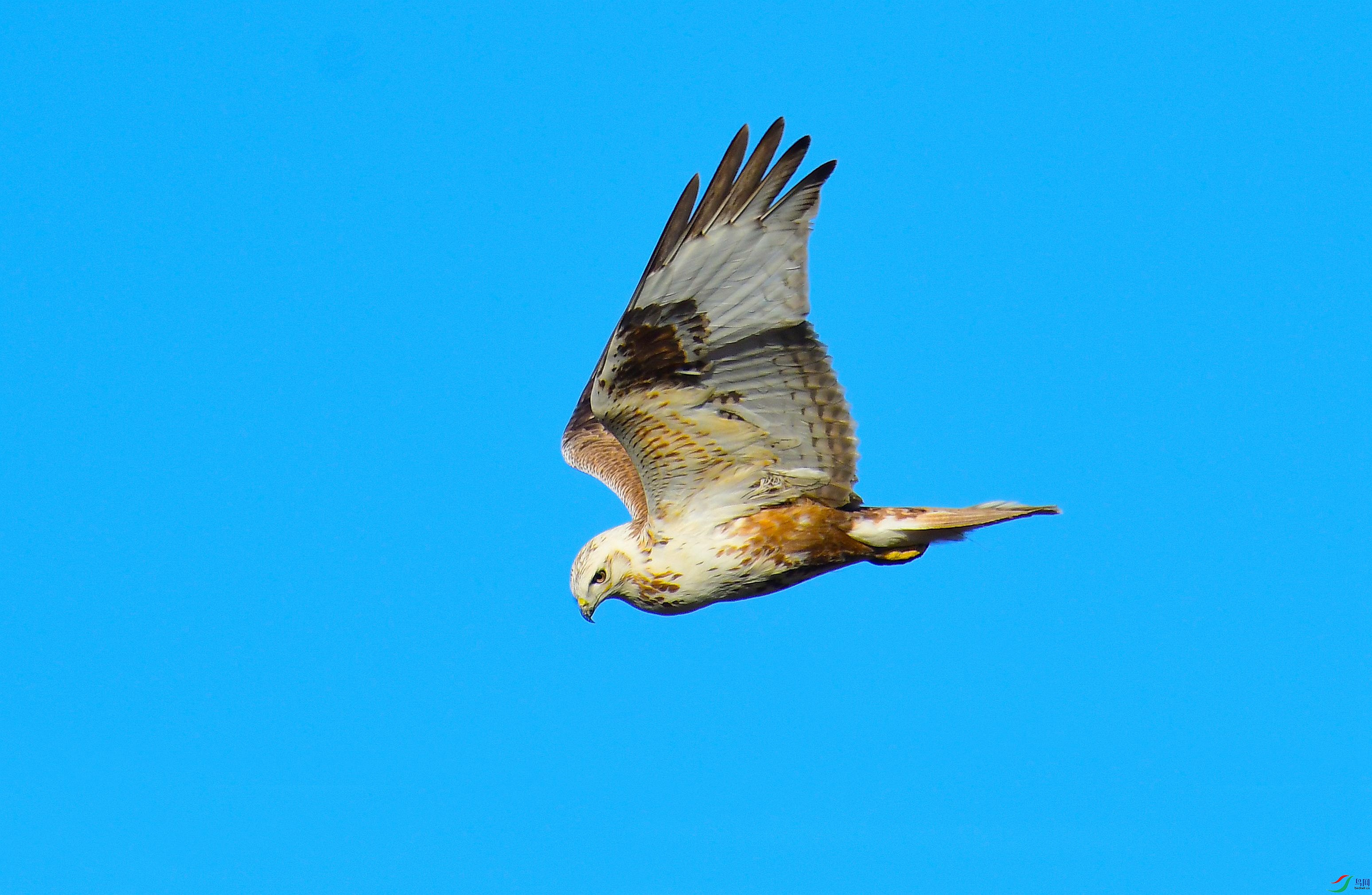 DSC_8035.JPG