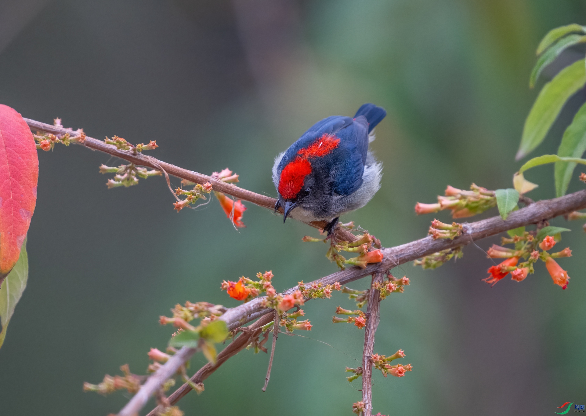 DSC_8347-1.jpg