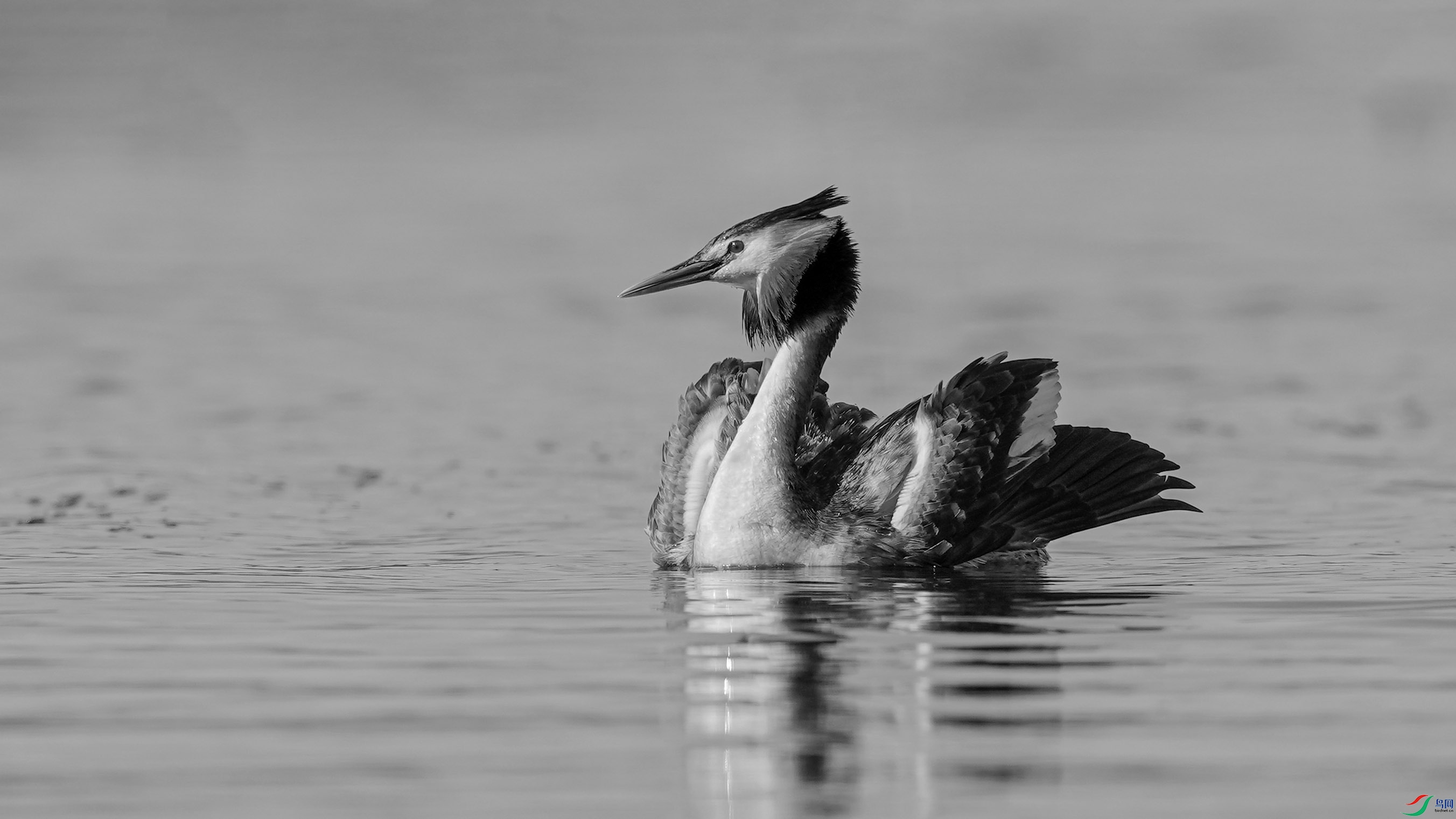 DSC06368A ����H.jpg