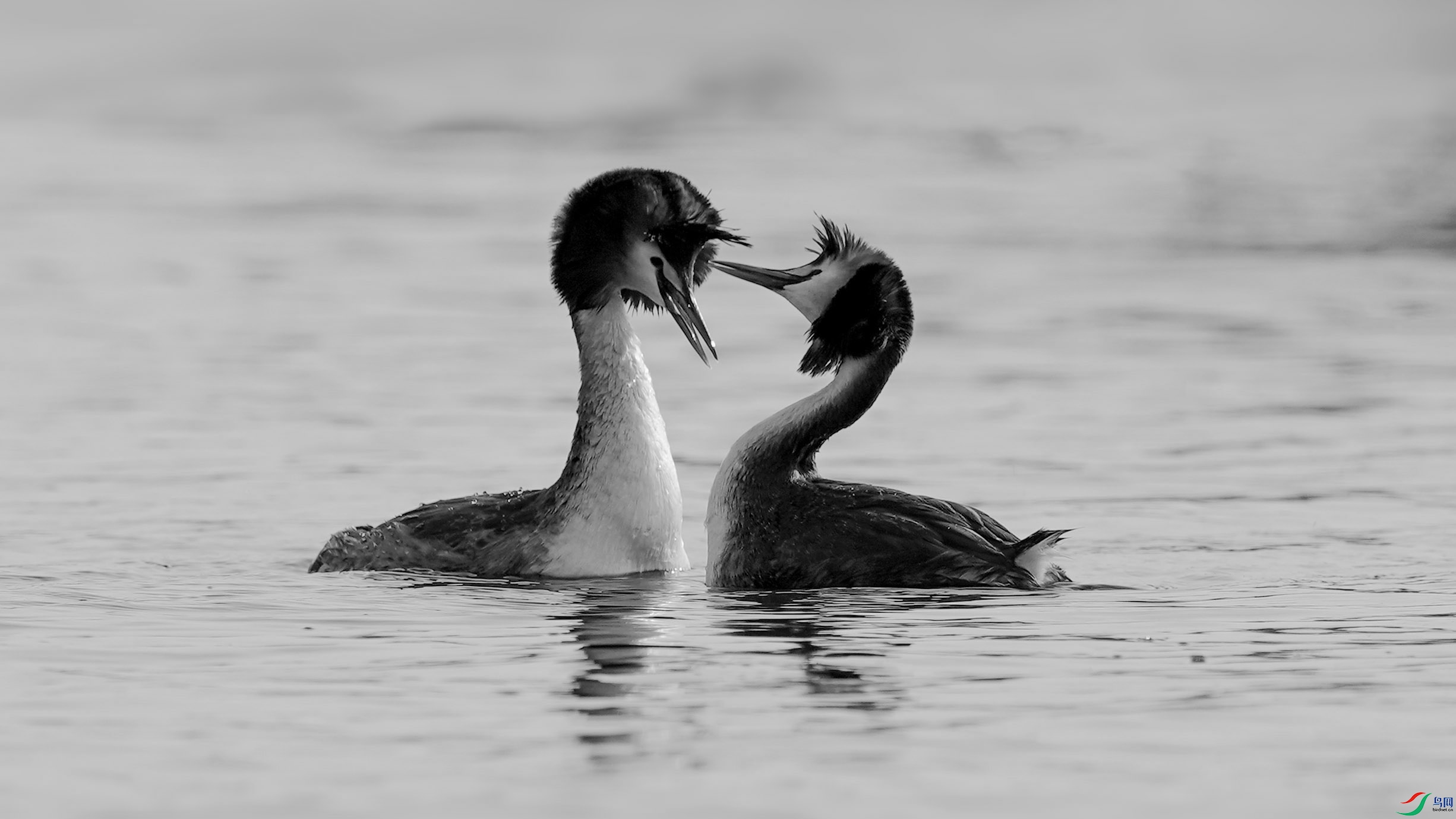 DSC06536A ����H.jpg