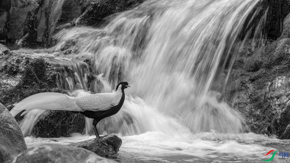 _FQ_1502-01.jpg