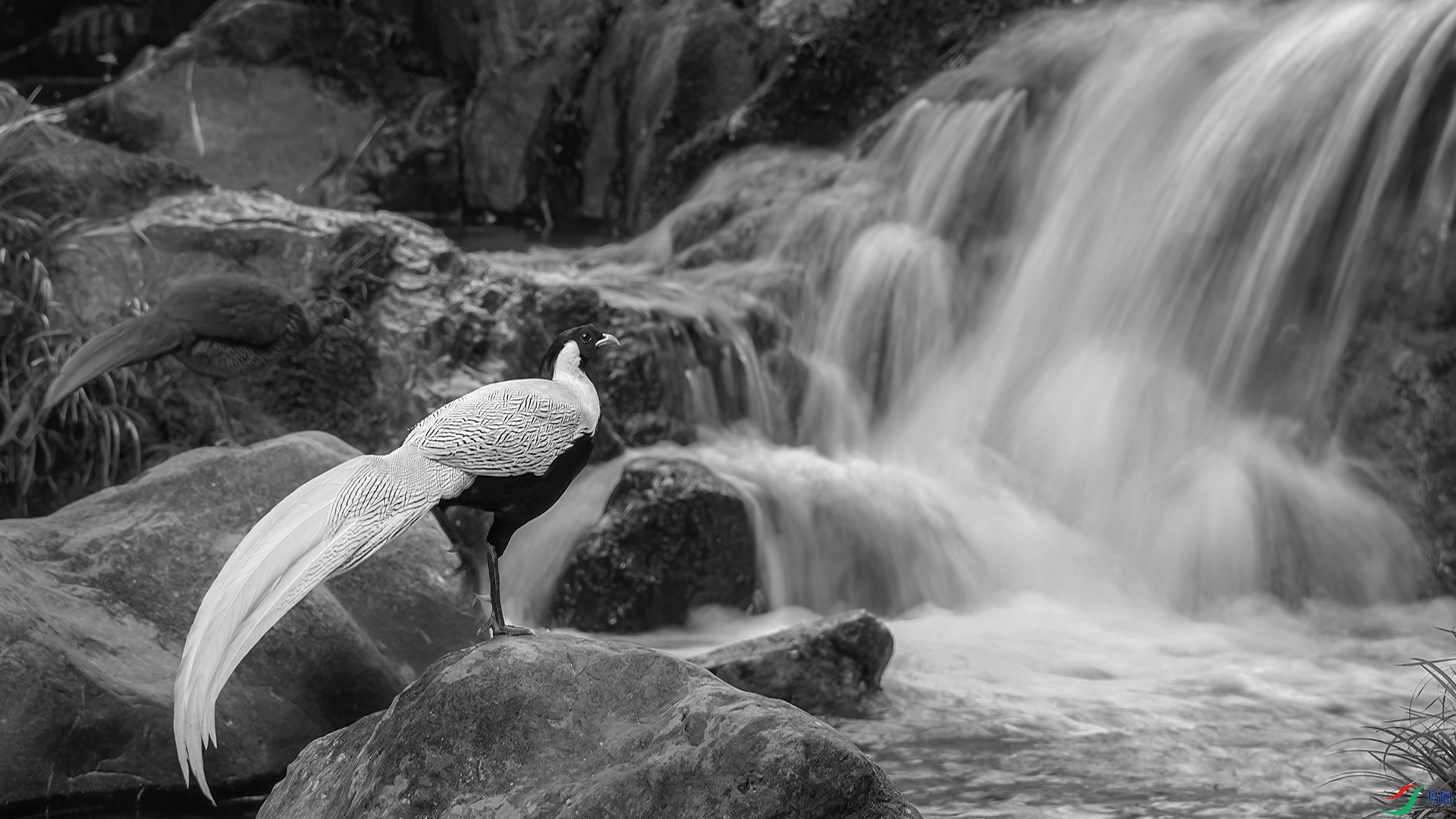 _FQ_0649-01.jpg