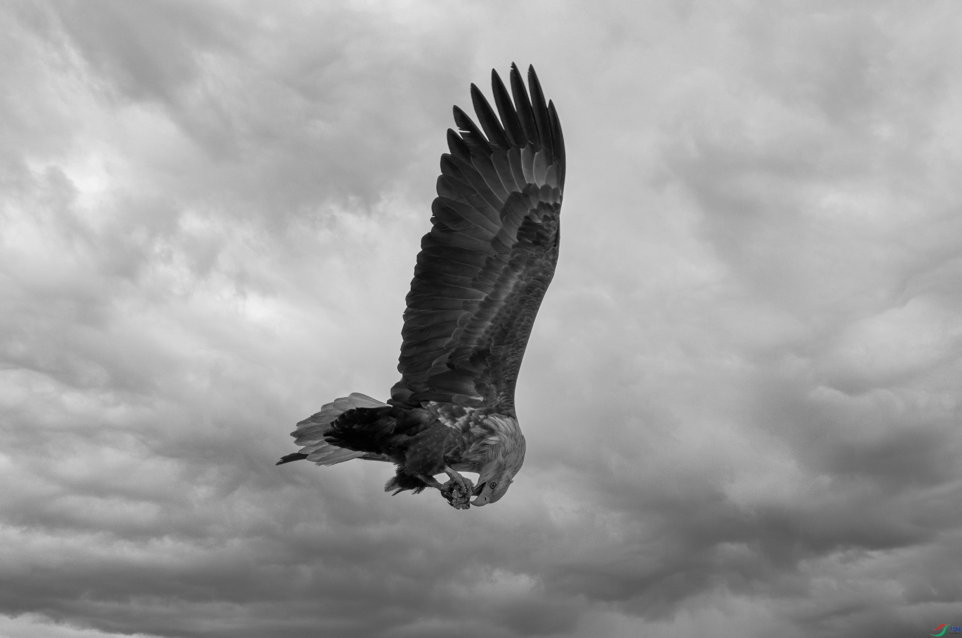 DSC05078 ����.jpg