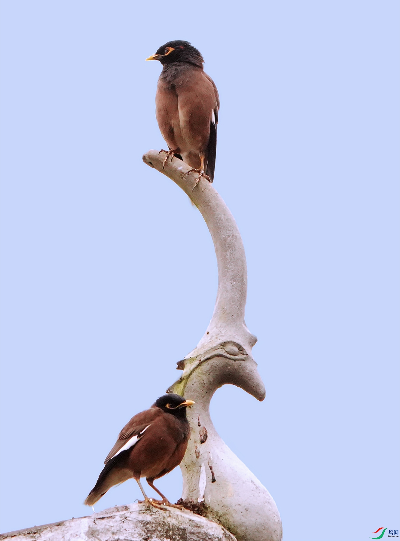 8139 ����.jpg