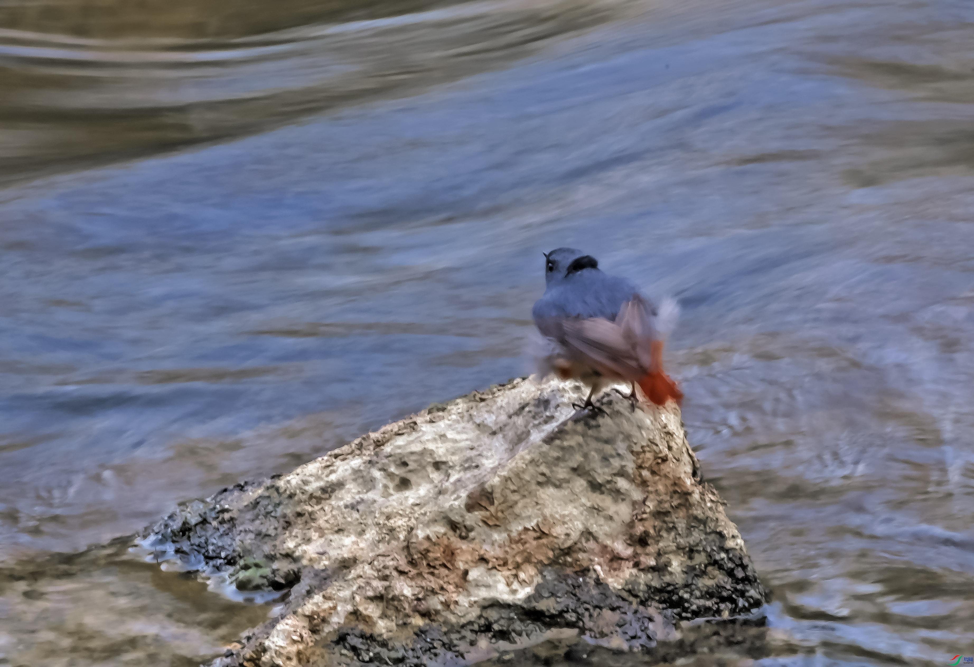 DSC_6520.JPG