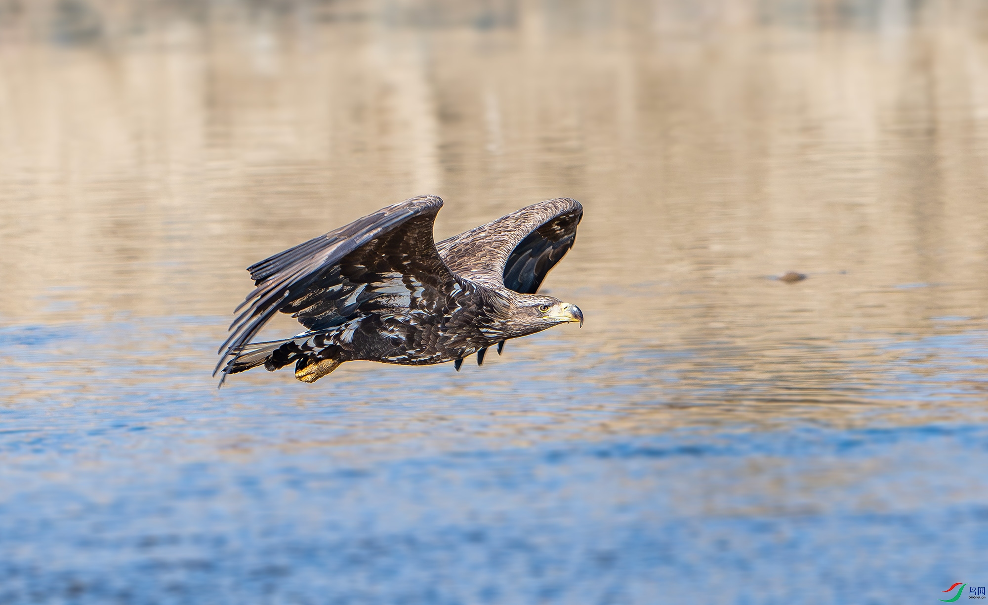 DSC_6582.jpg