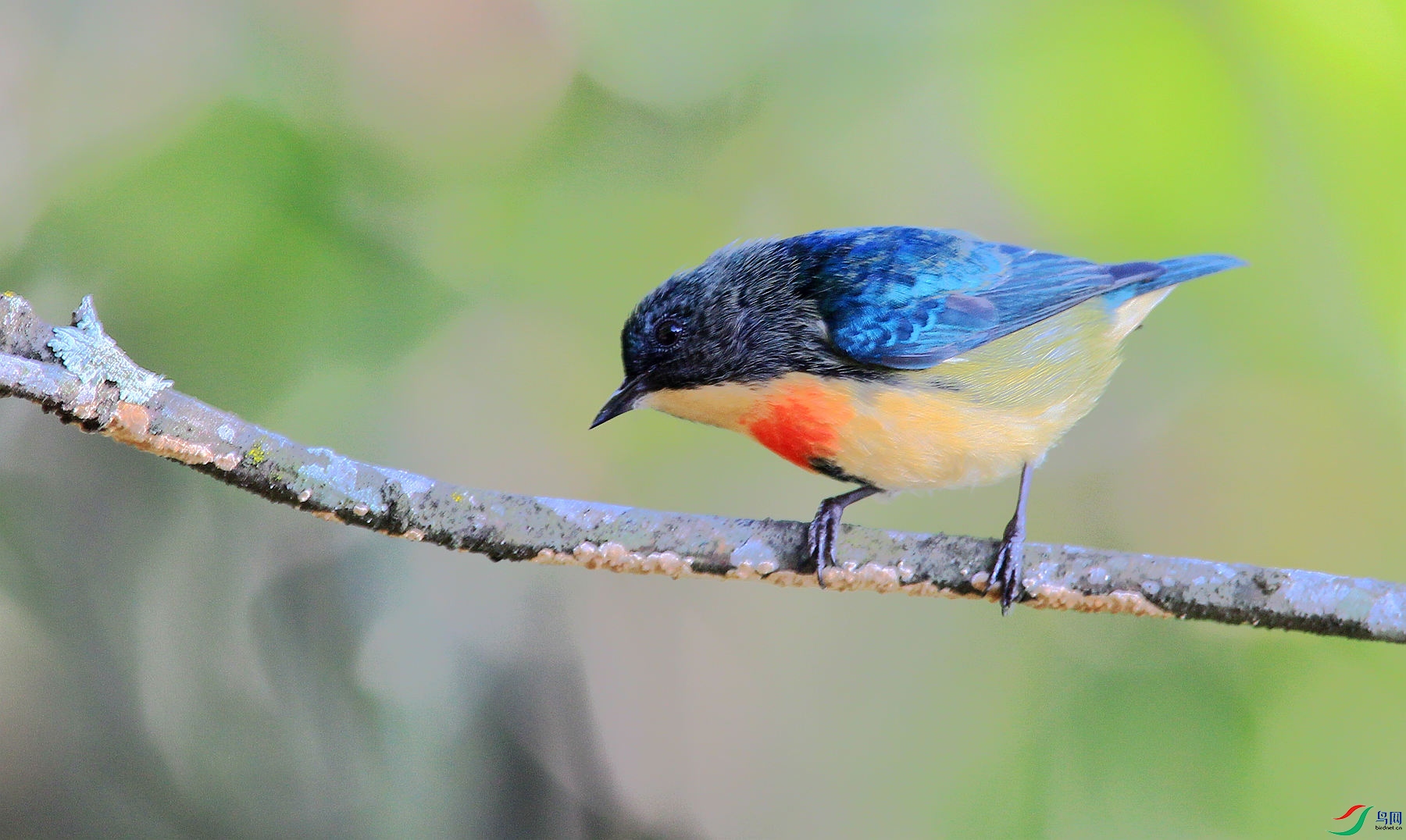 CU9G0077_����.jpg