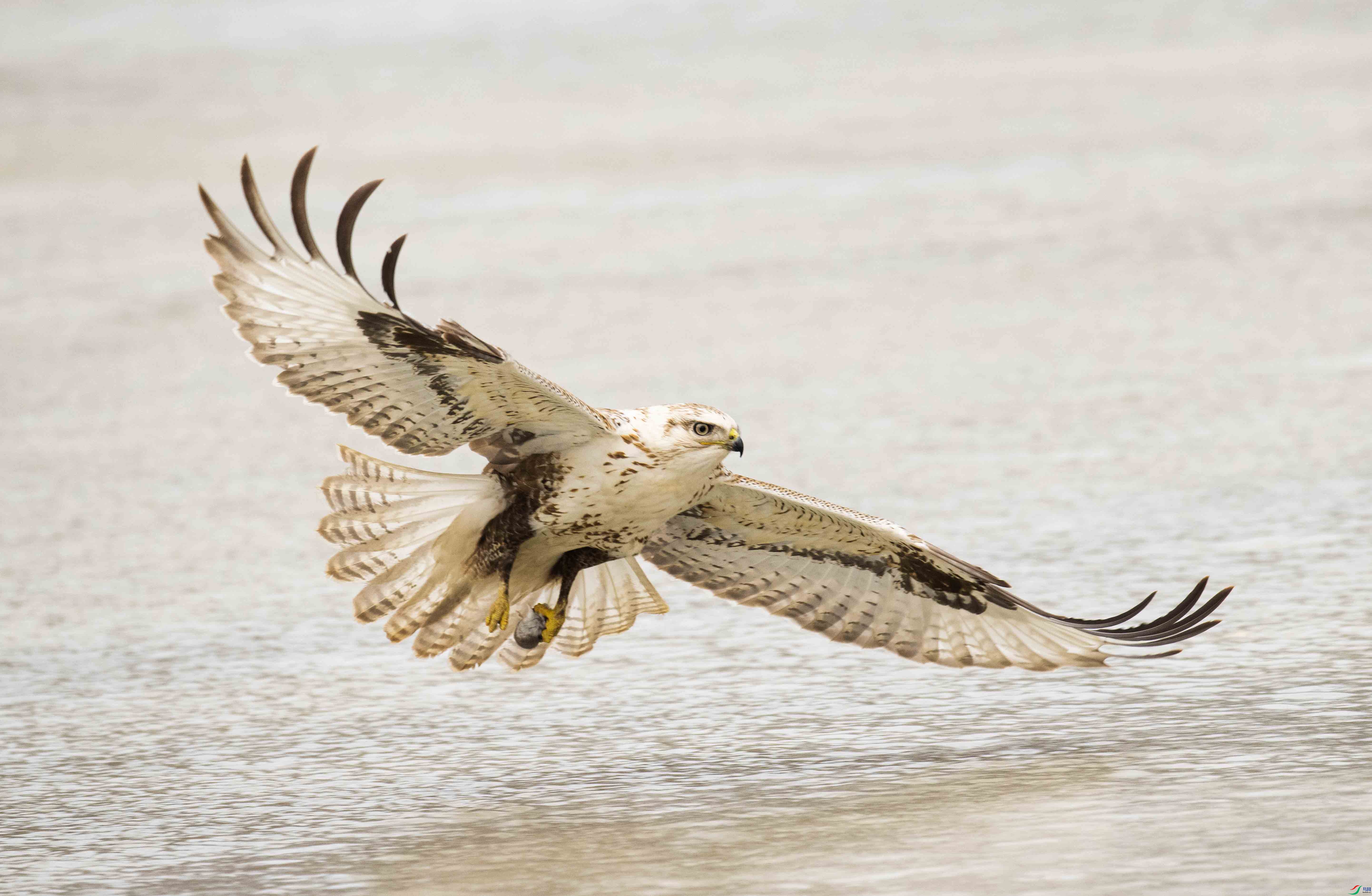 DSC_3991 ���� 2.jpg