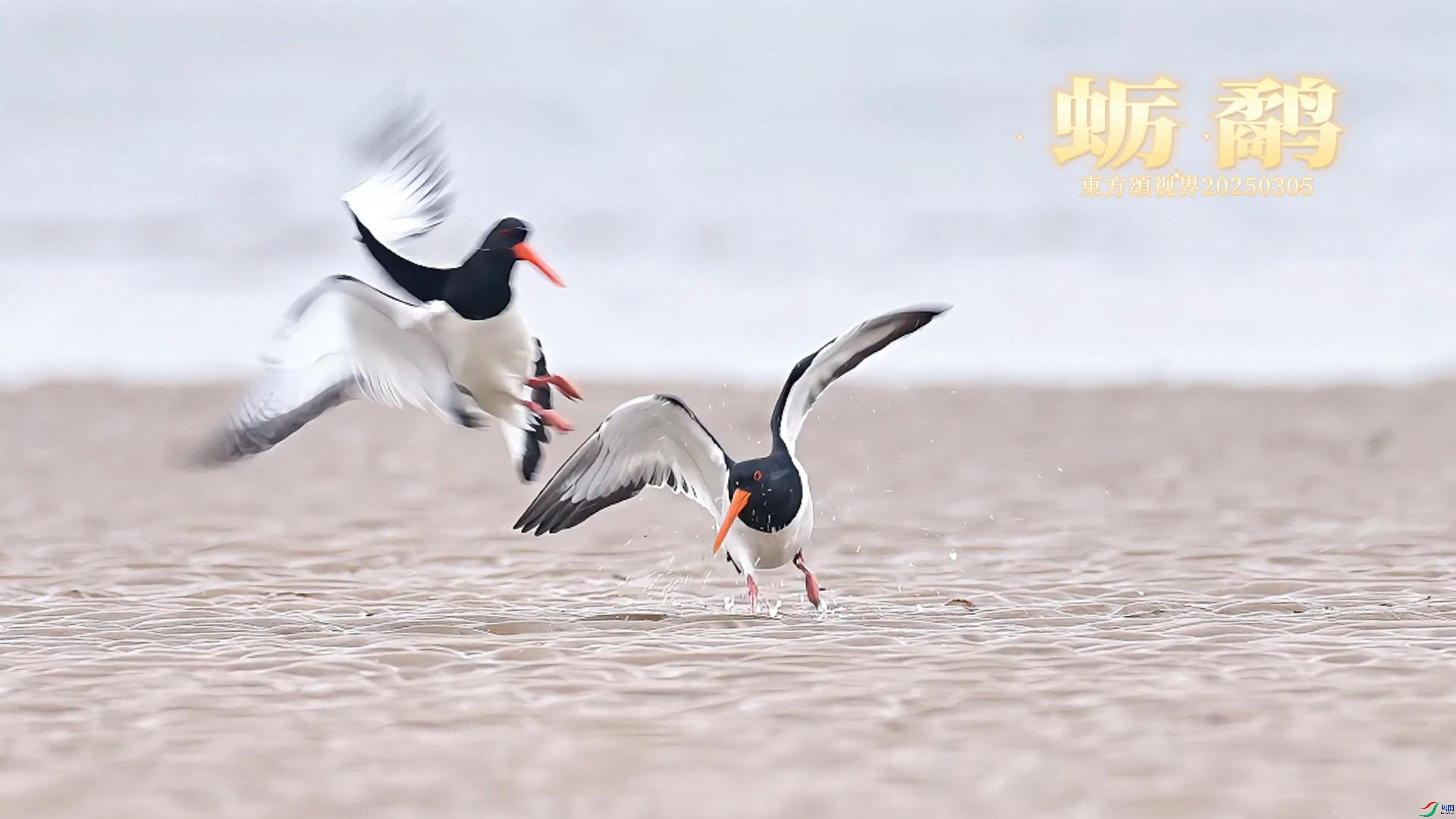 3��7�� ����ì��-����.jpg