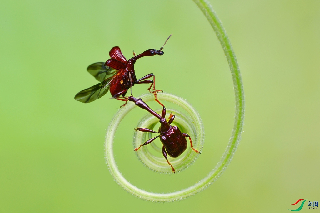 DSC_5973 ����.jpg