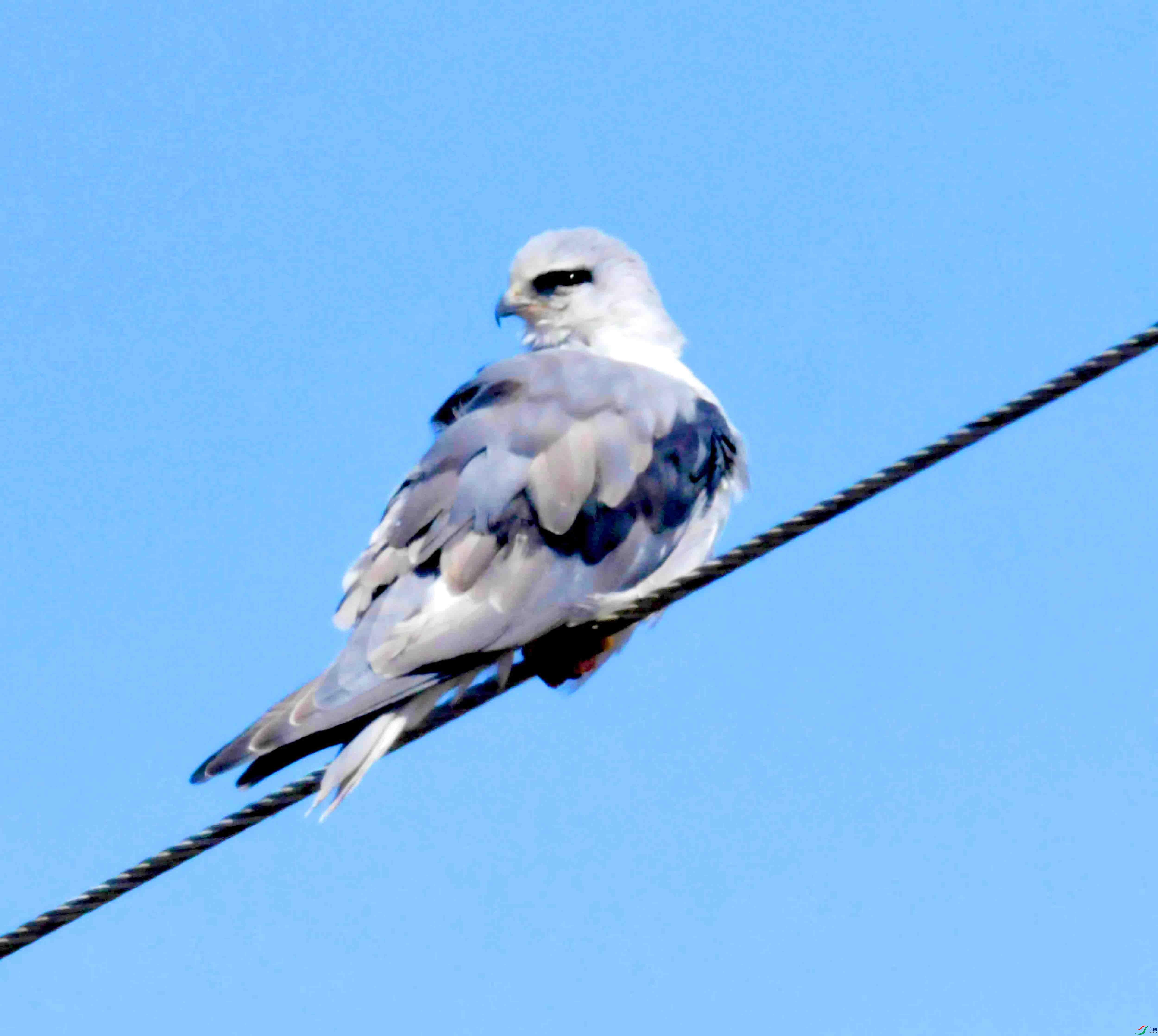 DSC_8237.JPG