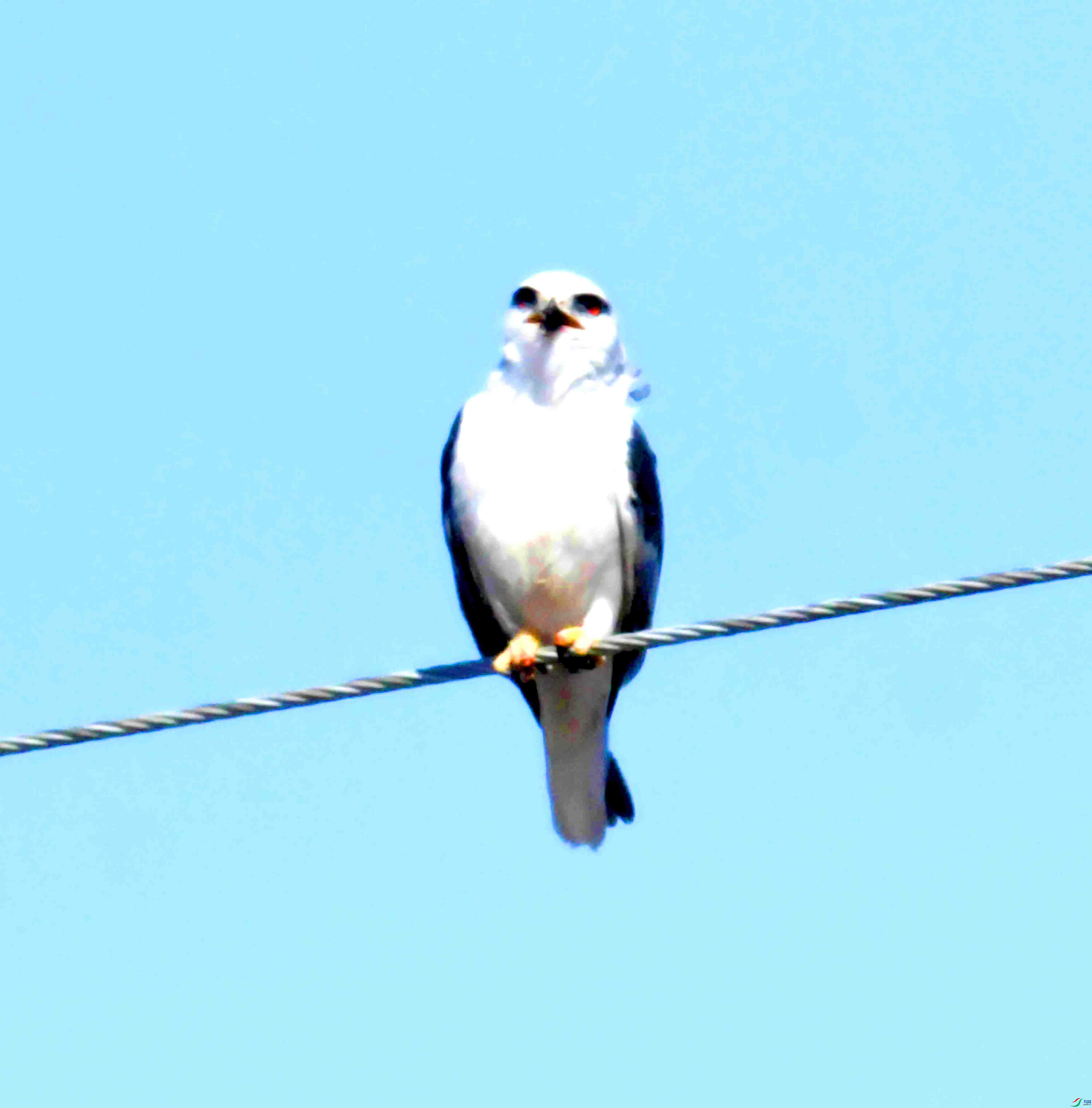 DSC_8520.JPG