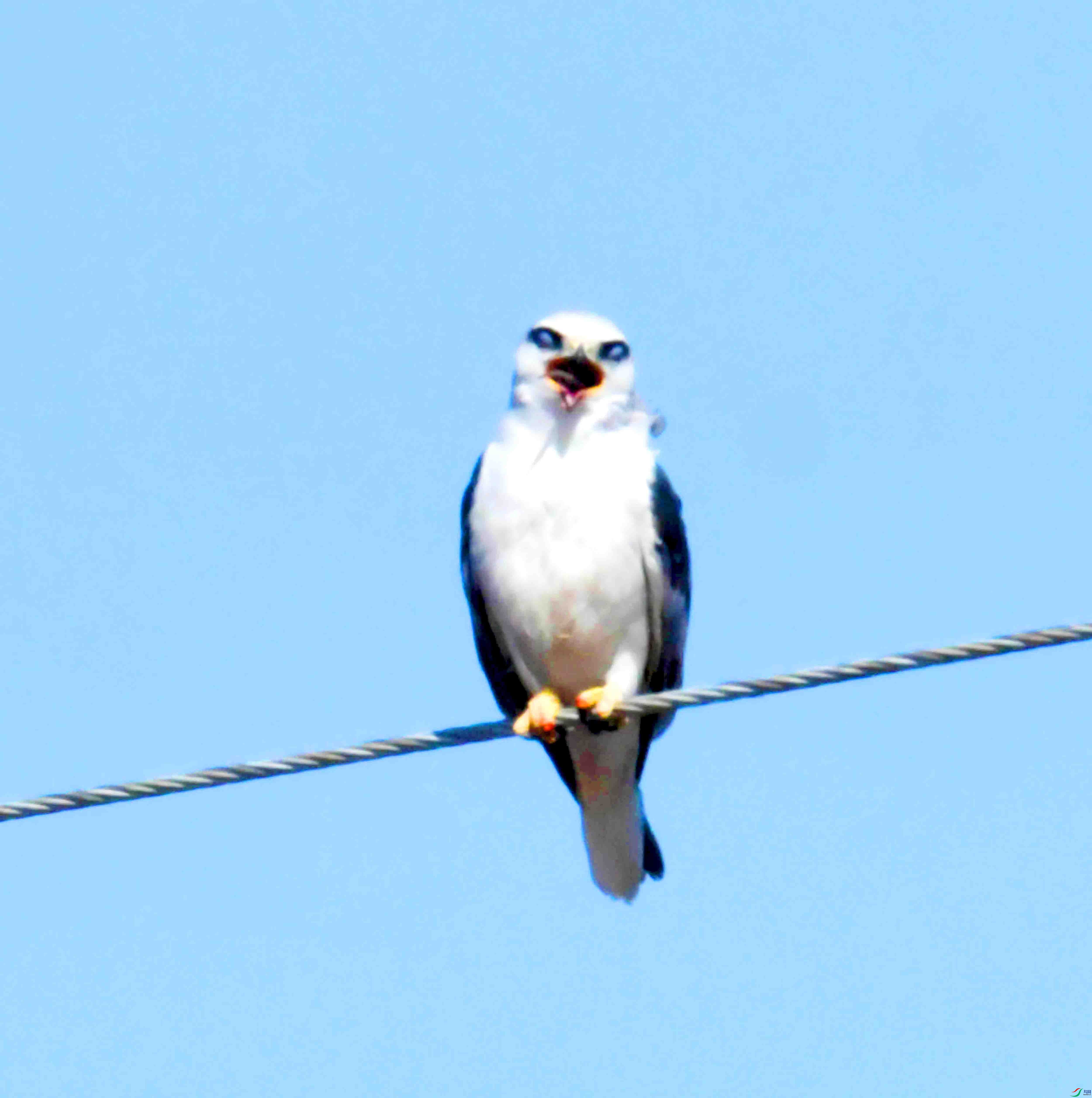DSC_8519.JPG