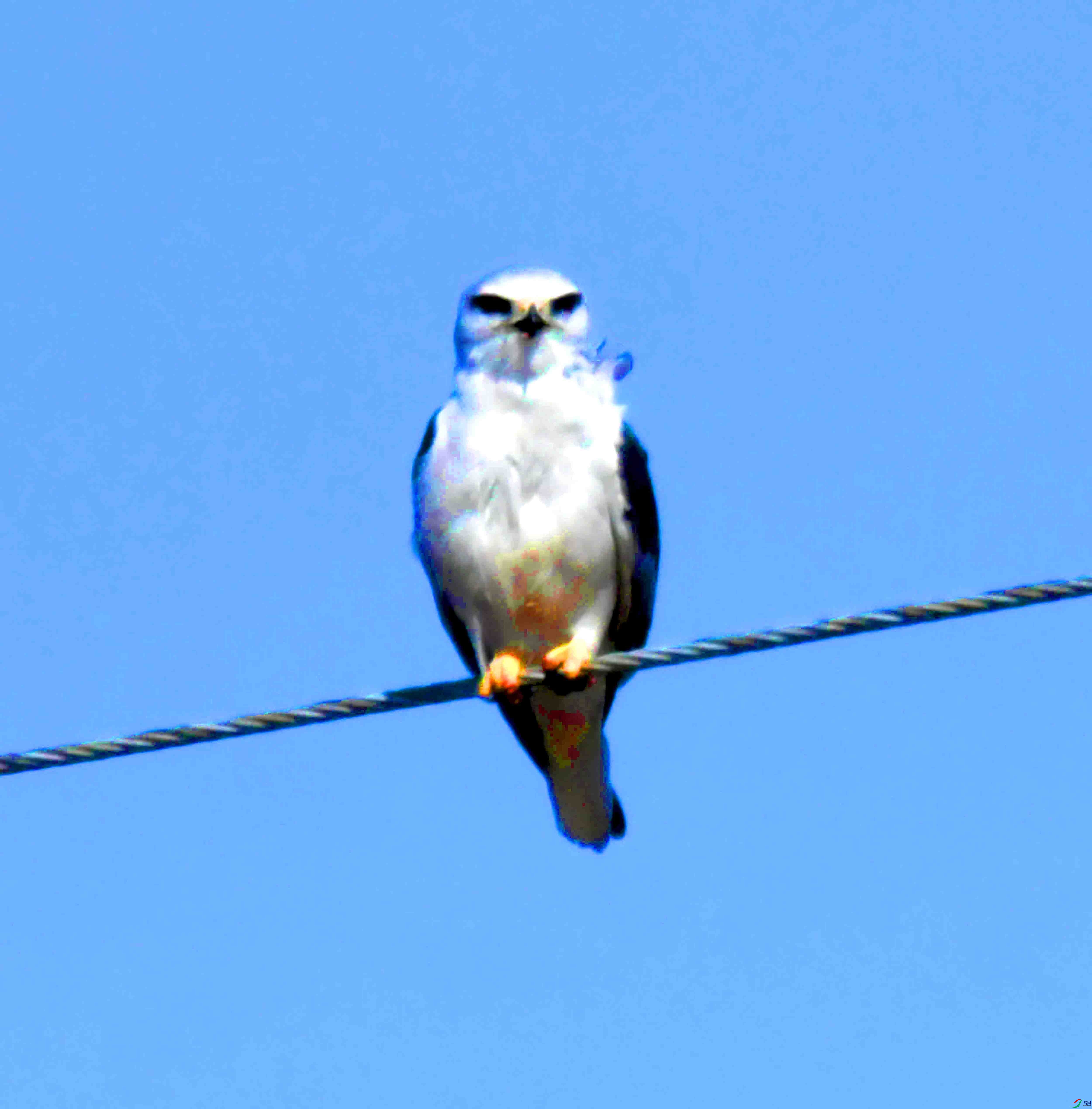 DSC_8524.JPG