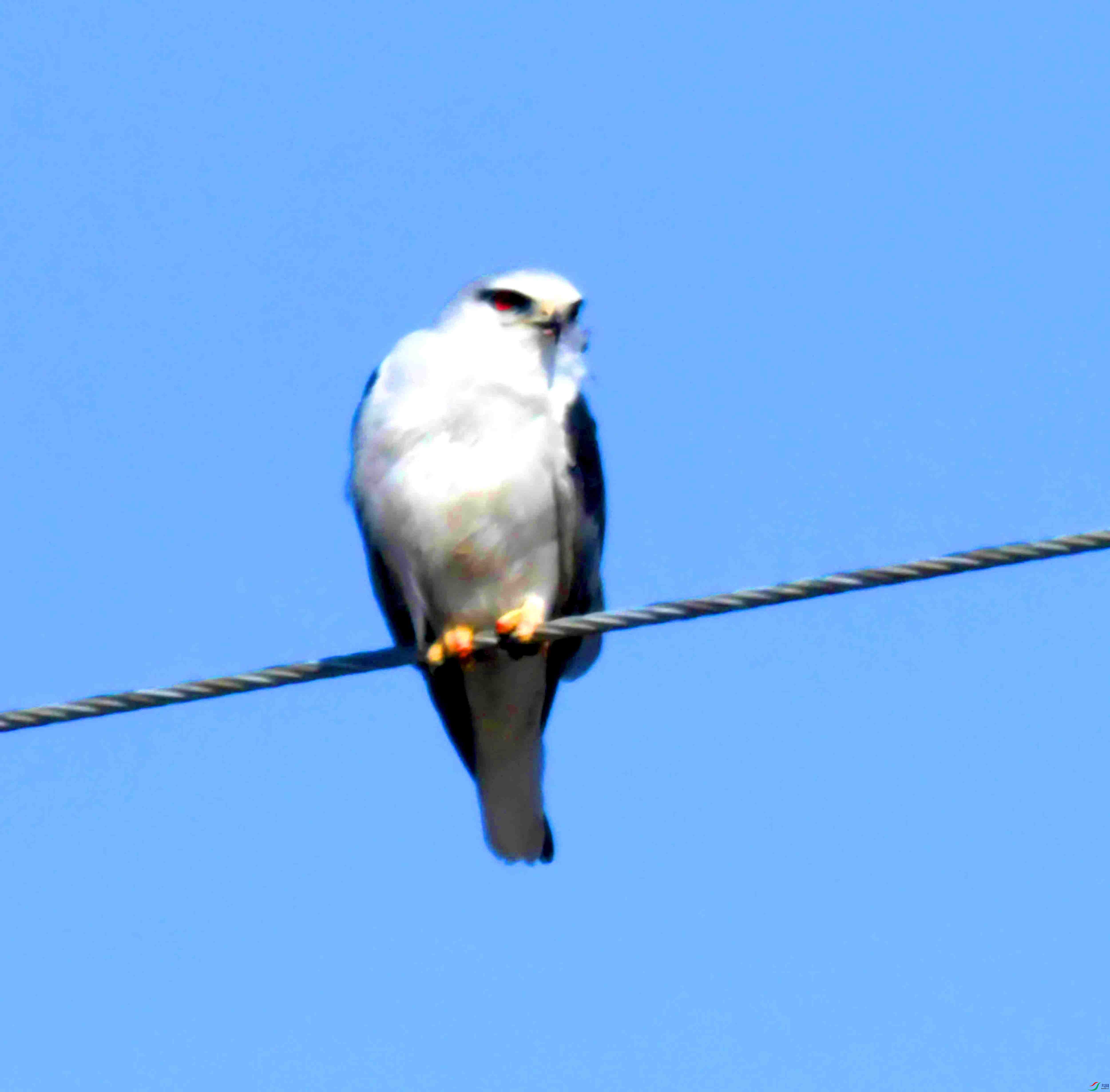 DSC_8529.JPG