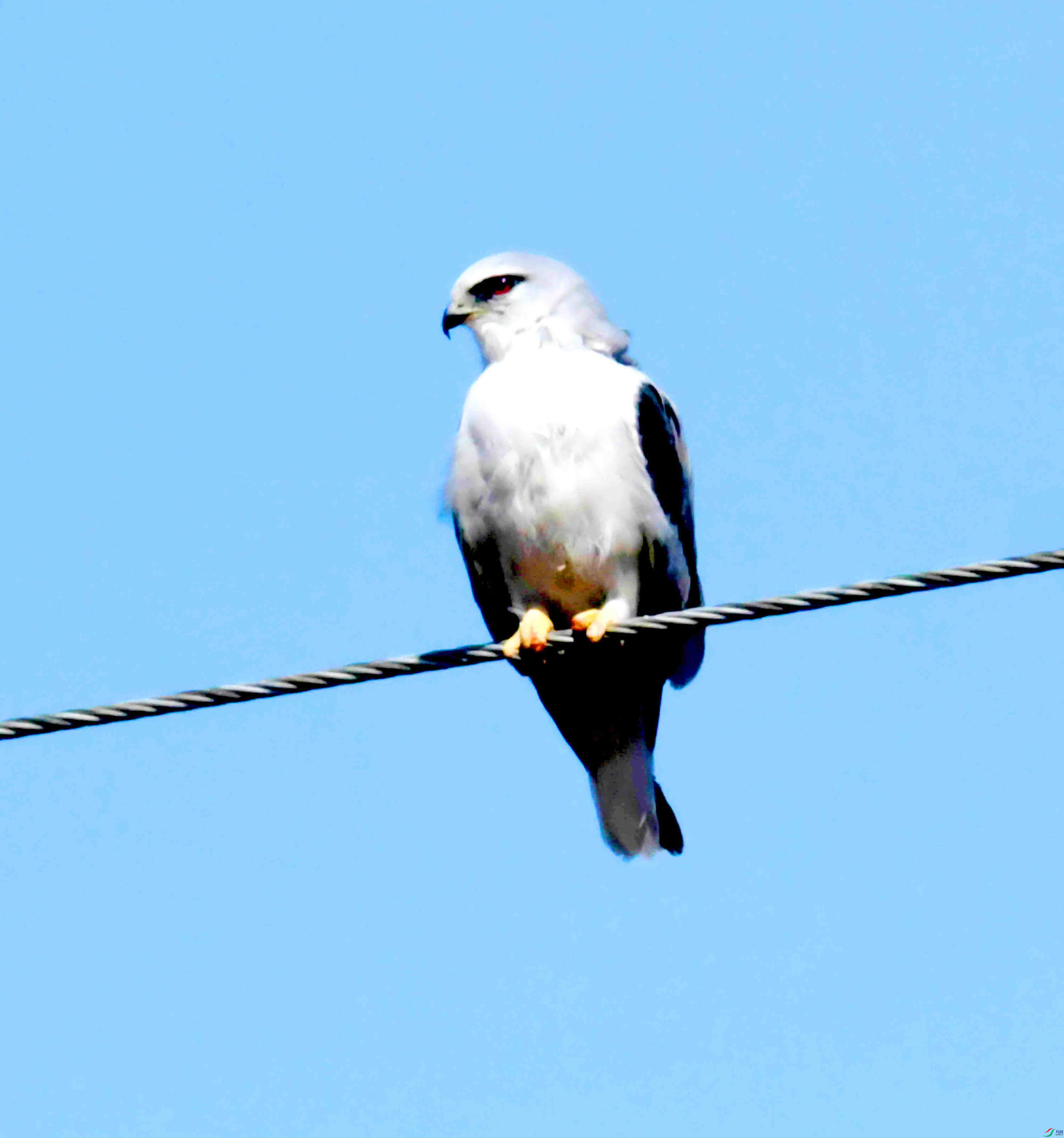 DSC_8560.JPG