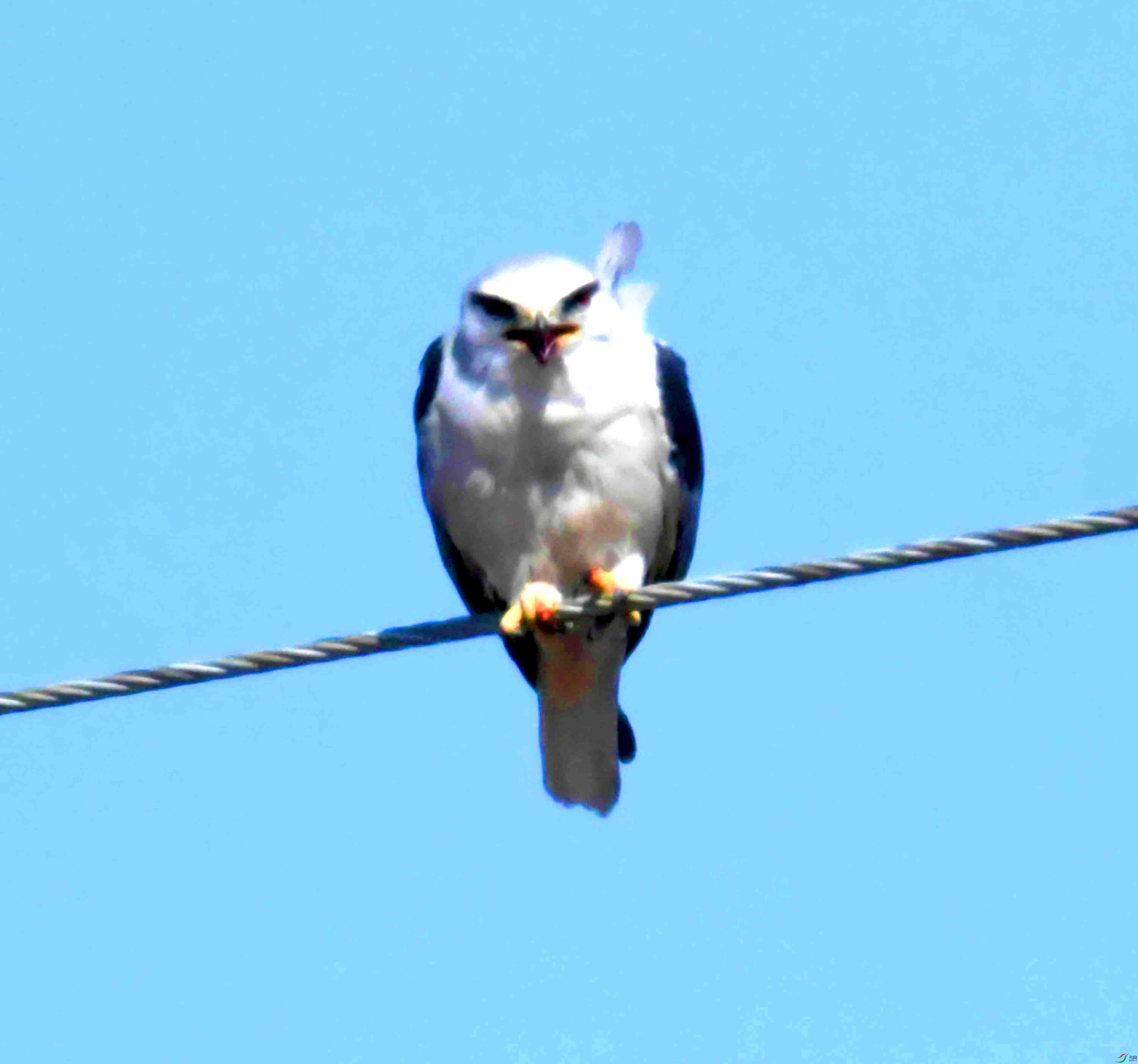 DSC_8544.JPG